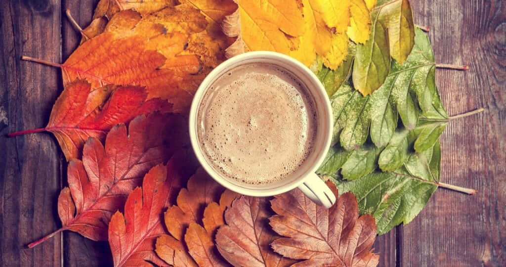 秋季美學 桌布 壁紙 — 一杯冒煙的咖啡，周圍環繞著鮮豔的秋葉，放在質樸的木桌上。