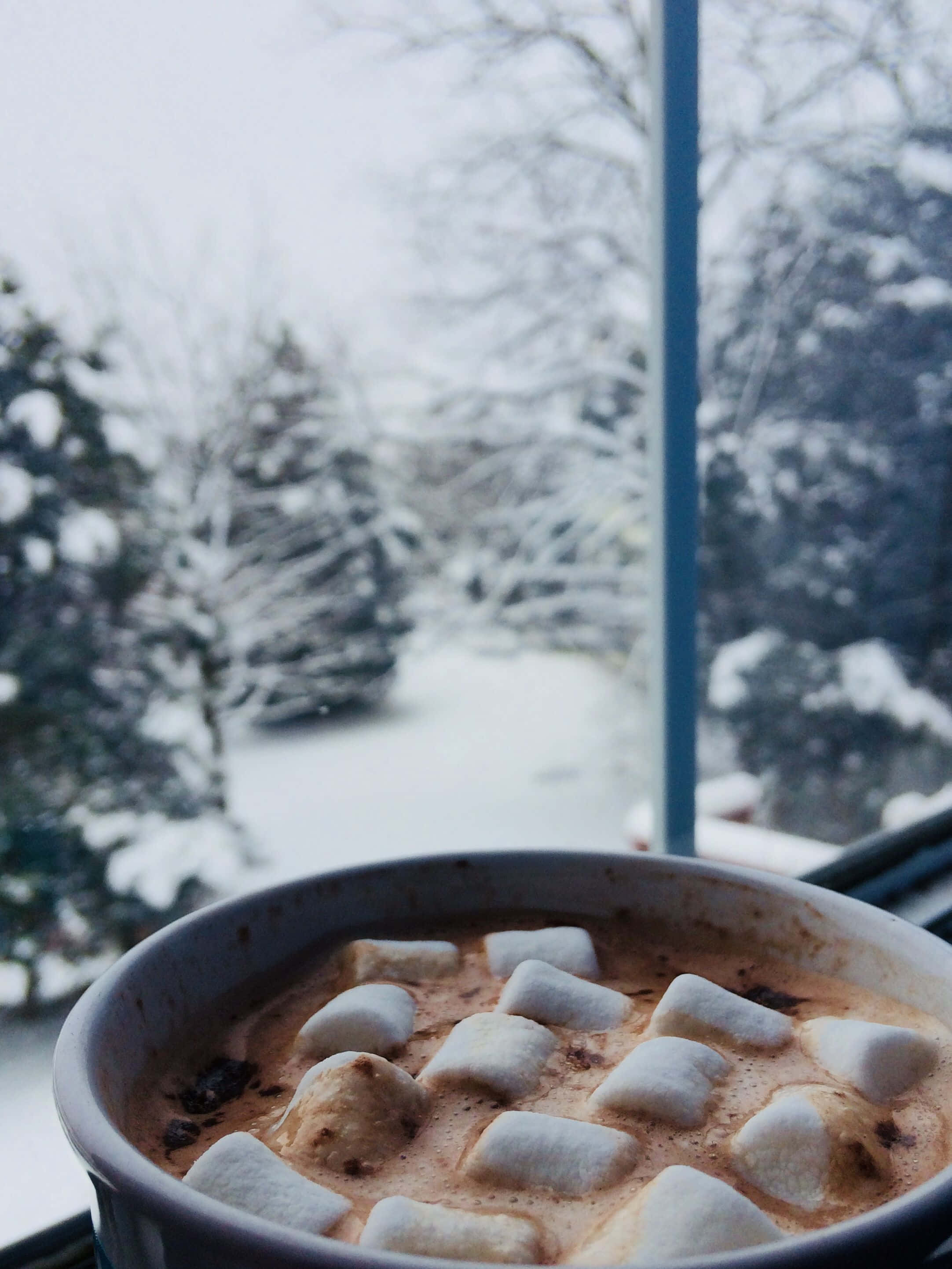 Winter Food 桌布 壁紙 — 一杯冒著熱氣的熱巧克力，上面放著棉花糖，放在窗邊，窗外是白雪皚皚的冬日景色。