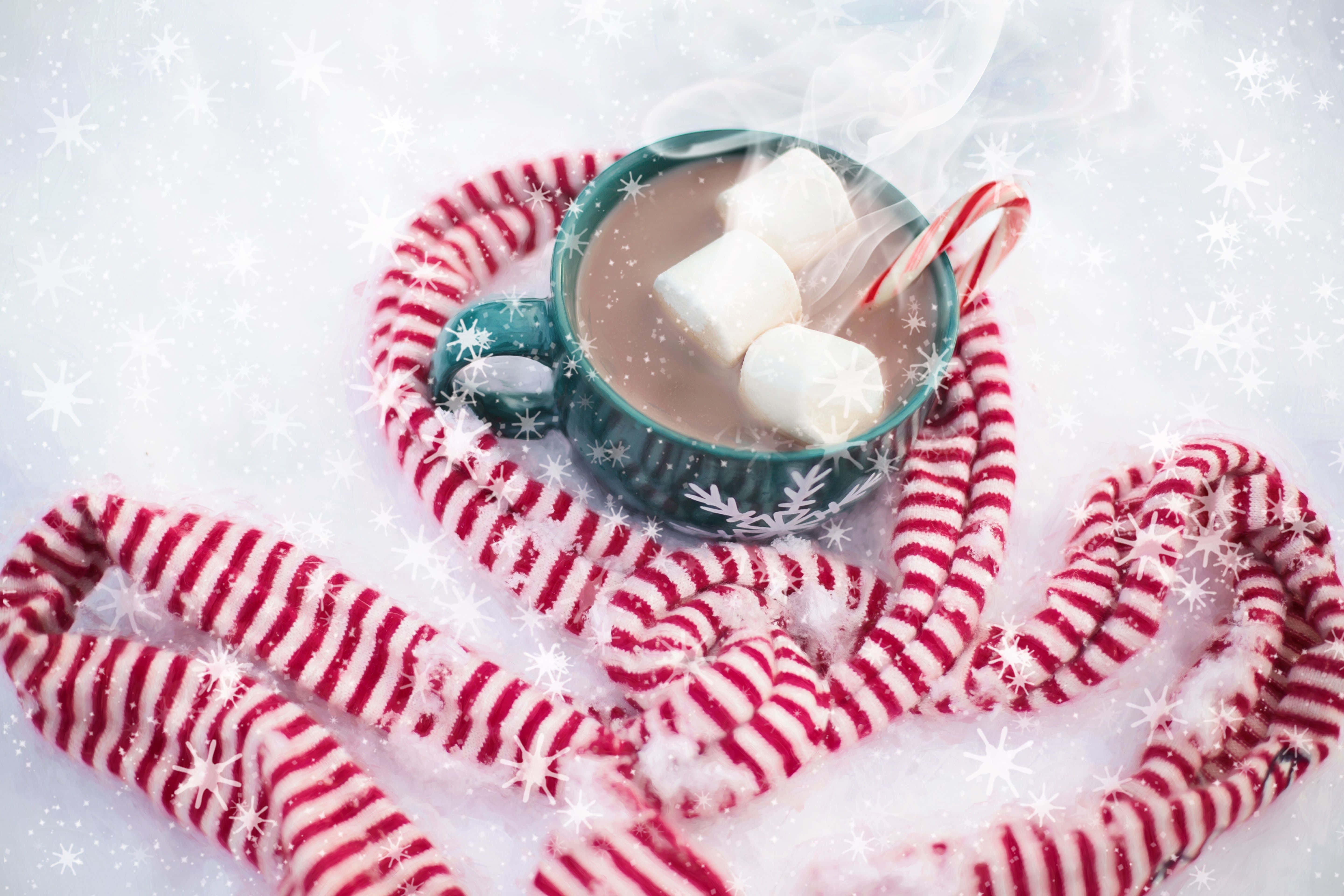 Hot Chocolate 桌布 壁紙 — 一杯冒著熱氣的熱巧克力，上面有棉花糖和拐杖糖，放在一條紅白相間的圍巾上，背景是飄雪的雪地。