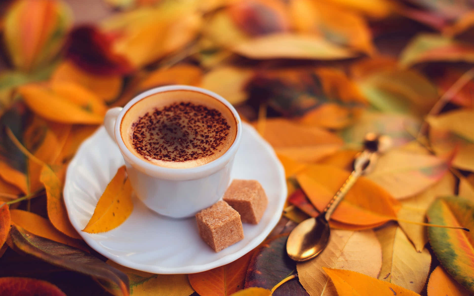 Morning Coffee 桌布 壁紙 — 一杯白色卡布奇諾咖啡，上面撒有可可粉，放在碟子上，周圍環繞著鮮豔的秋葉和方糖。