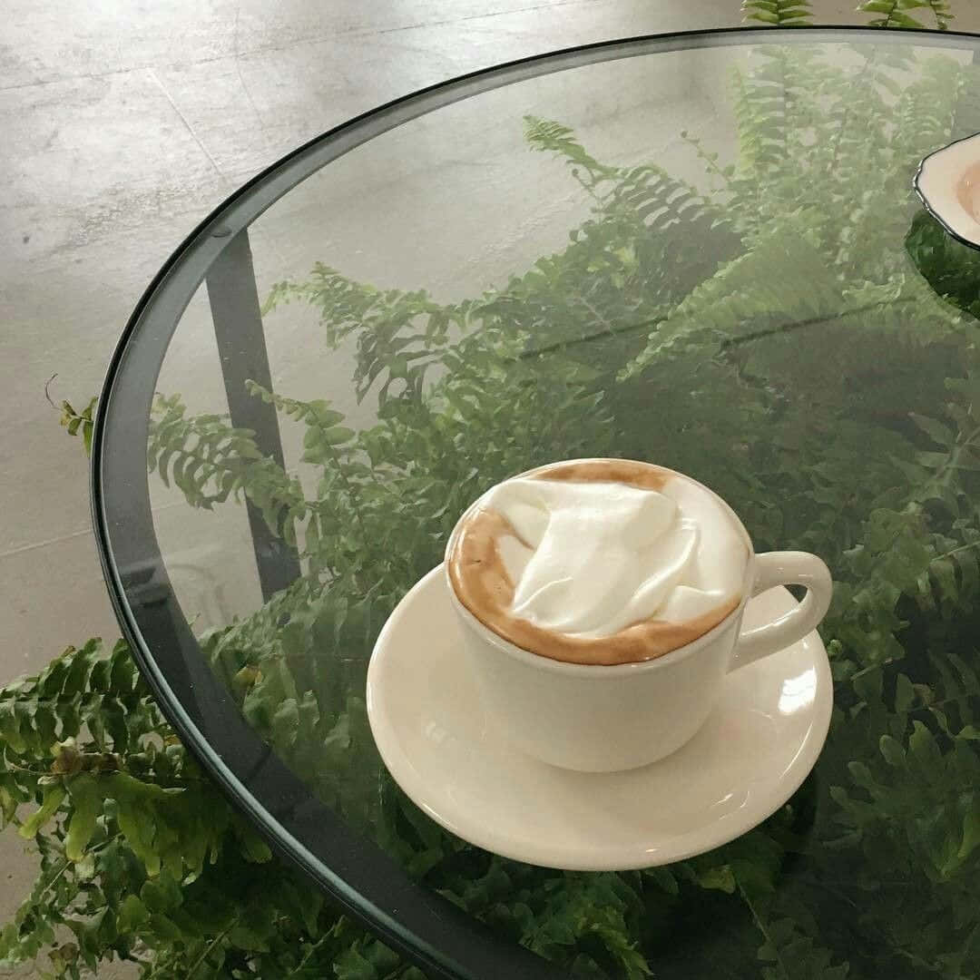 Coffee Cup 桌布 壁紙 — 一杯白色的拉花藝術咖啡放在玻璃桌上，周圍是茂盛的綠色蕨類植物。