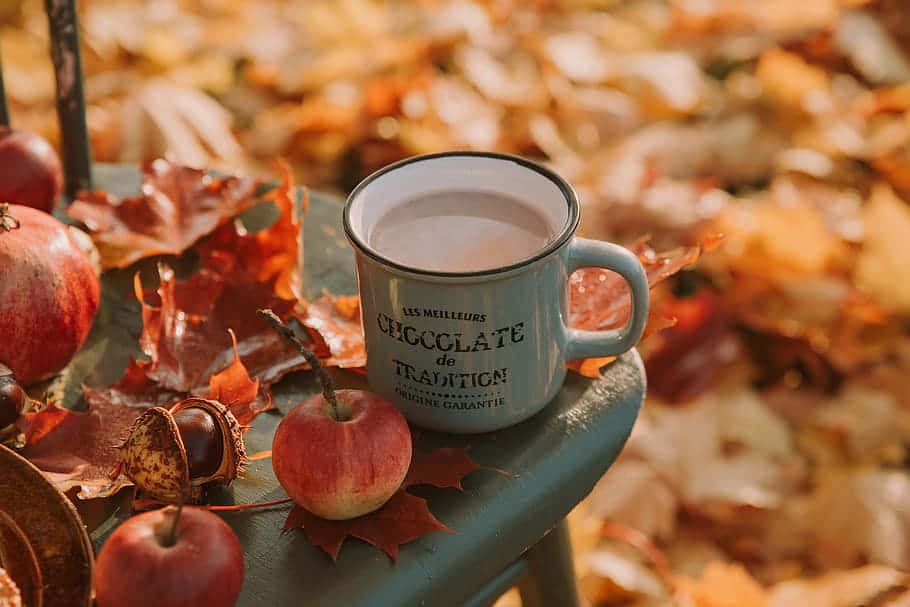 Fall Apples 桌布 壁紙 — 一杯舒適的熱巧克力放在凳子上，周圍環繞著秋葉、蘋果和栗子，沐浴在溫暖的金色光芒中。
