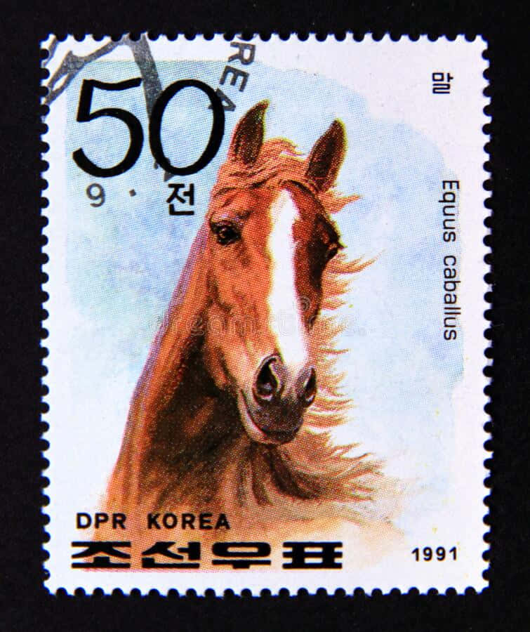 Stamp 桌布 壁紙 — 一枚1991年北韓50韓元郵票，以淺藍色背景為襯，細緻描繪了一匹帶有白色星紋的棕色馬匹。
