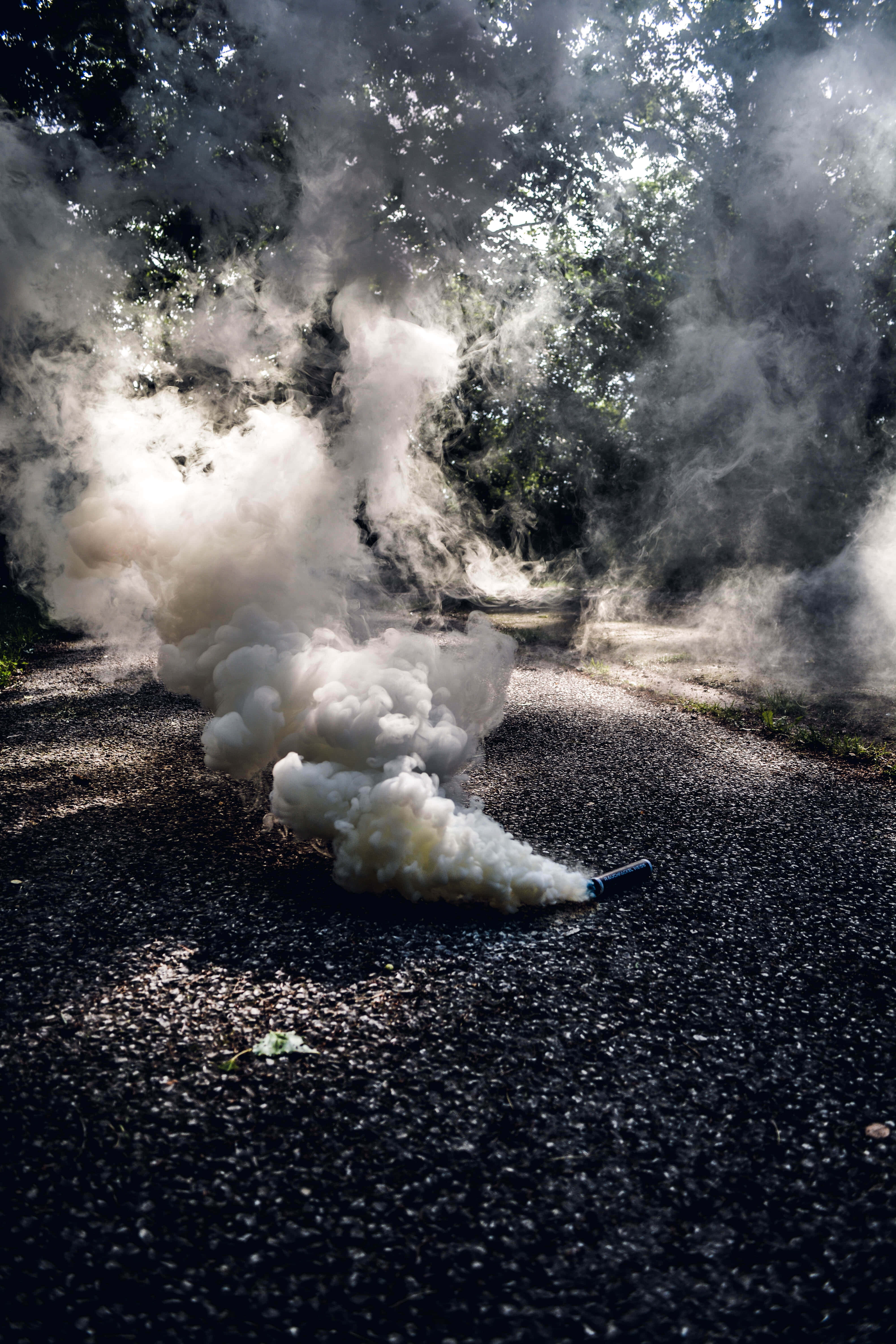 煙動圖 桌布 壁紙 — 一枚煙霧彈在陽光明媚的森林碎石路上爆炸，在斑駁的陰影中噴出濃厚的白色煙霧。
