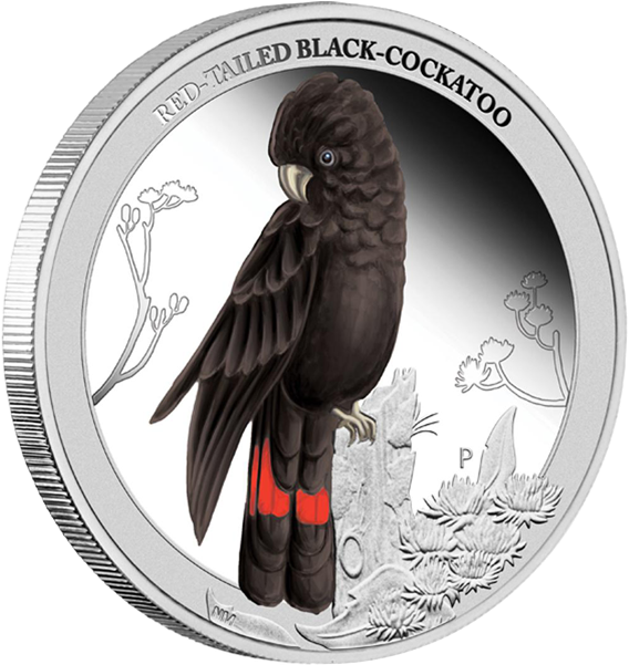 Coin 桌布 壁紙 — 一枚精細的銀幣上，有一隻帶有紅色尾羽的黑色鳳頭鸚鵡，棲息在枝頭上，周圍環繞著本地植物。