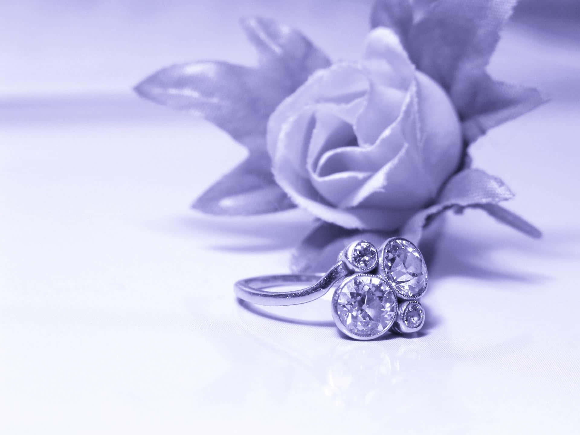 Ring 桌布 壁紙 — 一枚精緻的四石鑽戒放在反光表面上，旁邊是一朵柔和的紫色玫瑰。