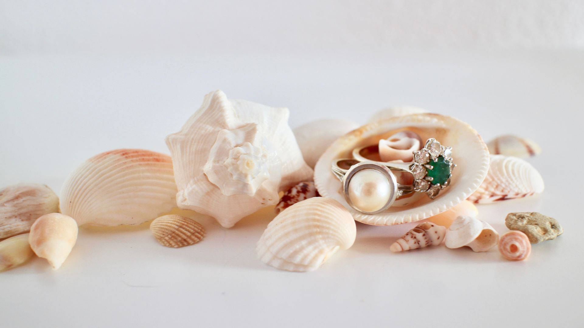 Shell 桌布 壁紙 — 一枚精緻的珍珠和翡翠戒指鑲嵌在貝殼中，周圍環繞著各式各樣的海灘貝殼，置於明亮的白色表面上。