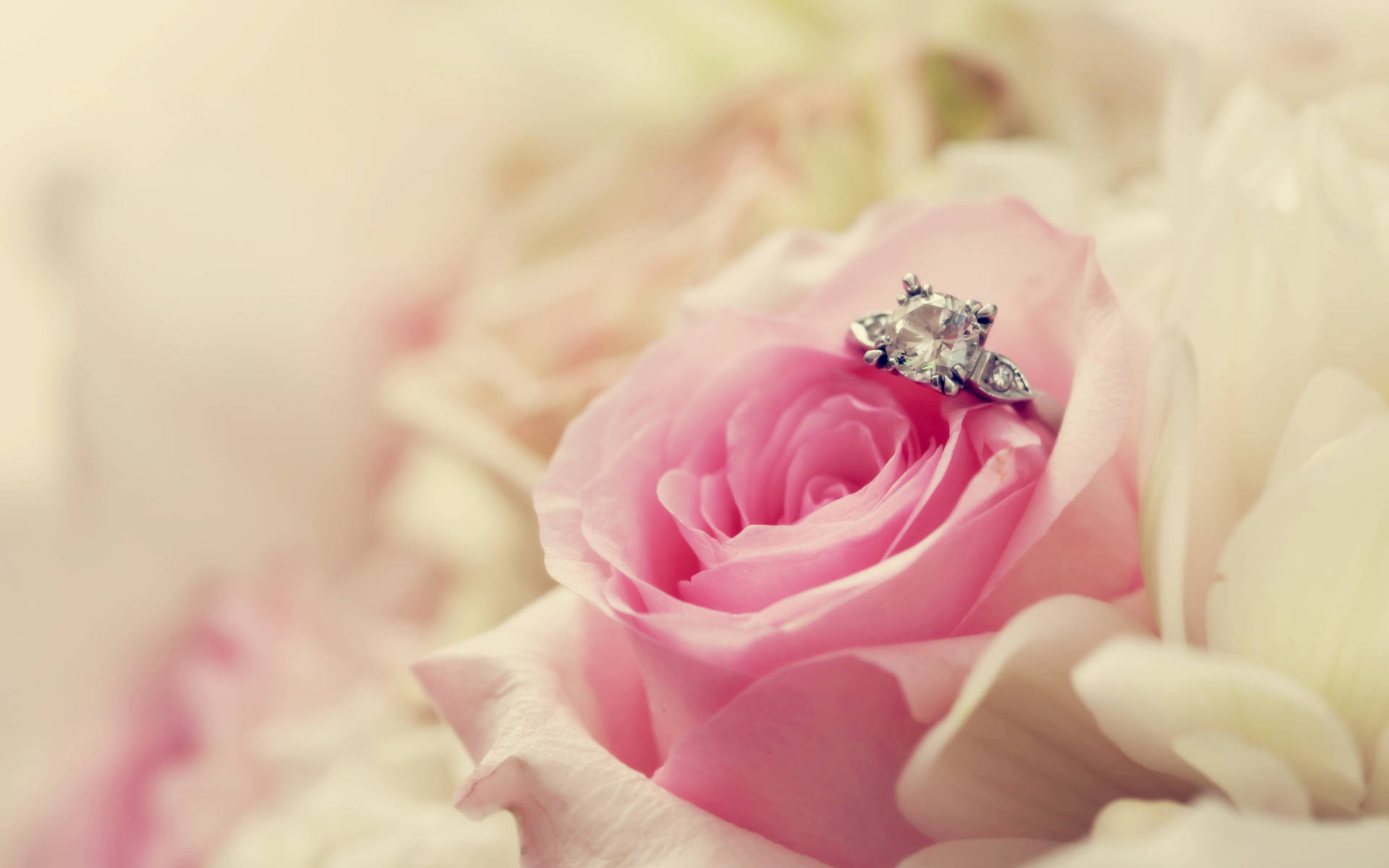 Wedding Aesthetic 桌布 壁紙 — 一枚閃爍的鑽石訂婚戒指輕輕地放在柔軟的粉紅玫瑰上，周圍是模糊的粉彩花朵。