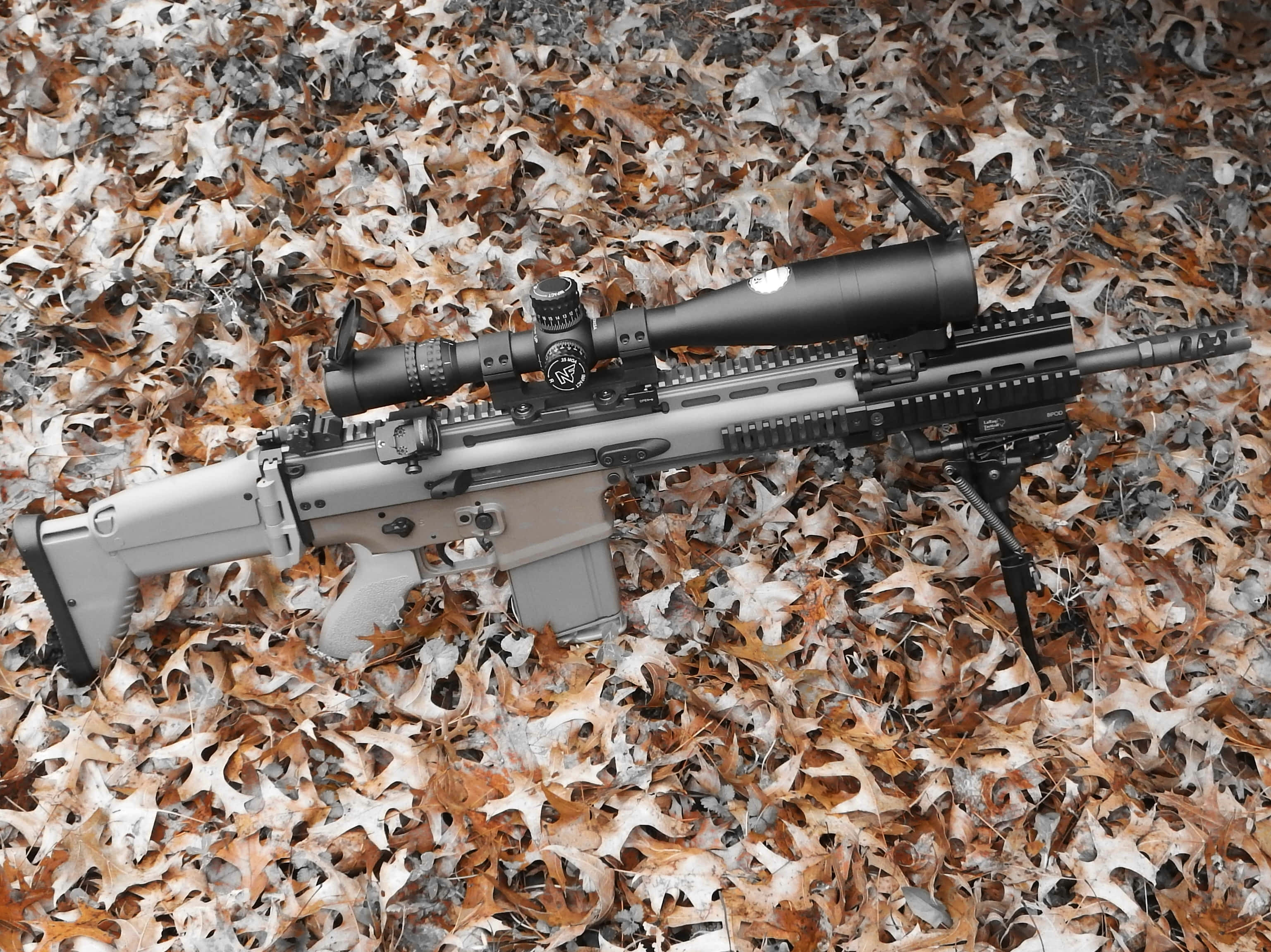 Rifle 桌布 壁紙 — 一枝帶瞄準鏡的戰術步槍放在柔和大地色調的秋日落葉上。