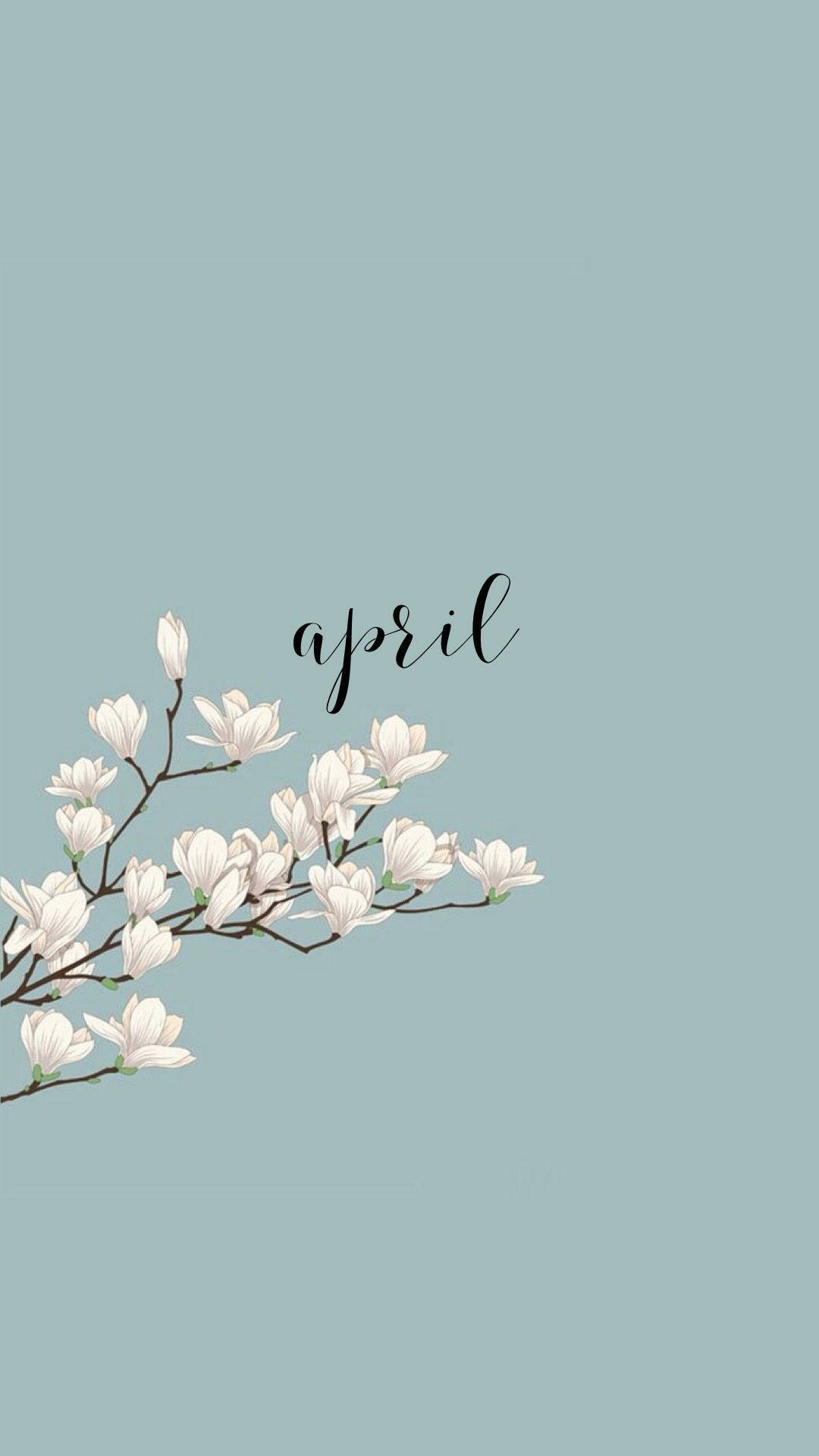 Cute Spring 桌布 壁紙 — 一枝白色木蘭花優雅地彎曲在柔和的薄荷綠色背景上，並以優雅的黑色字體寫上april一詞。