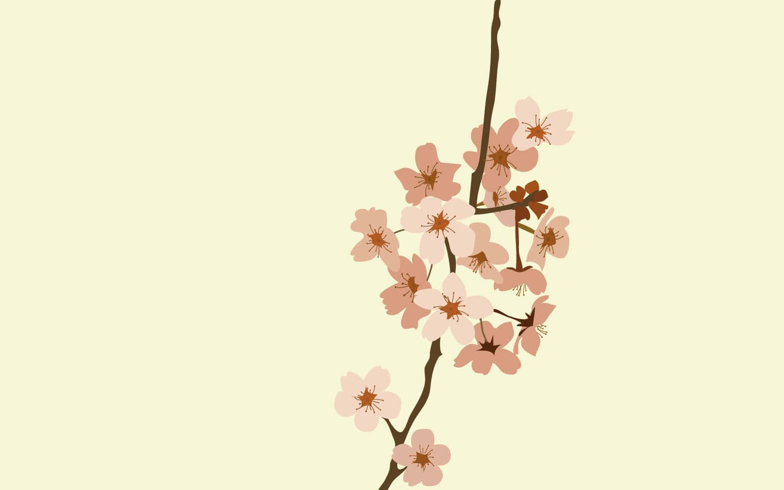 Simple Spring 桌布 壁紙 — 一枝粉嫩的櫻花在柔和的奶油色背景上優雅綻放。