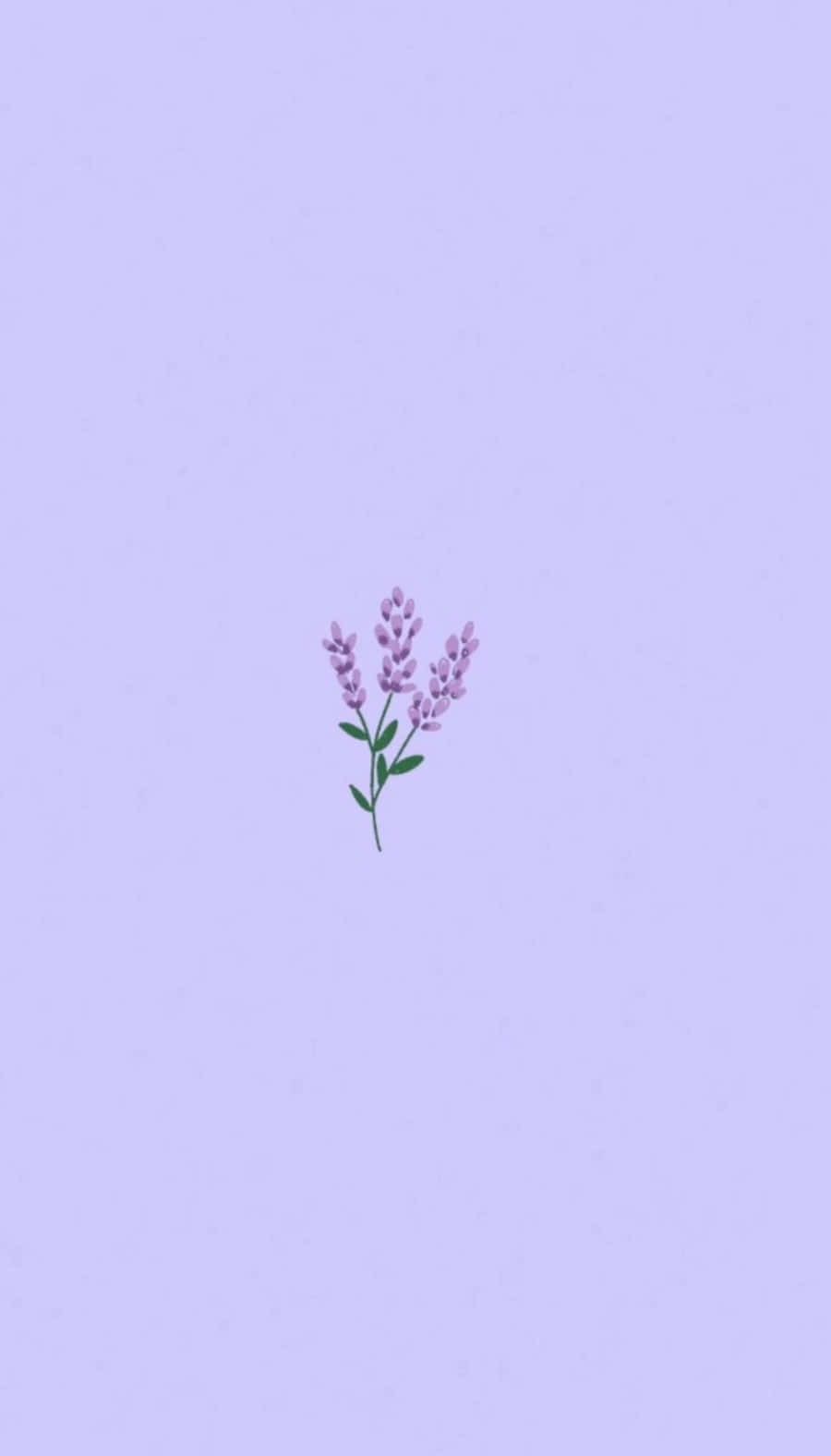 Flowers 桌布 壁紙 — 一枝精緻的薰衣草，帶有細小的紫色花朵和綠色葉子，置於柔和的薰衣草背景中央。