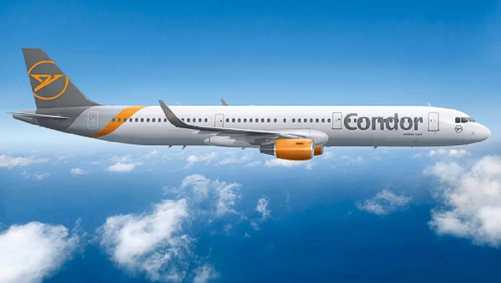飛機 桌布 壁紙 — 一架Condor飛機在清澈的藍天下優雅地翱翔於蓬鬆的白雲之上。
