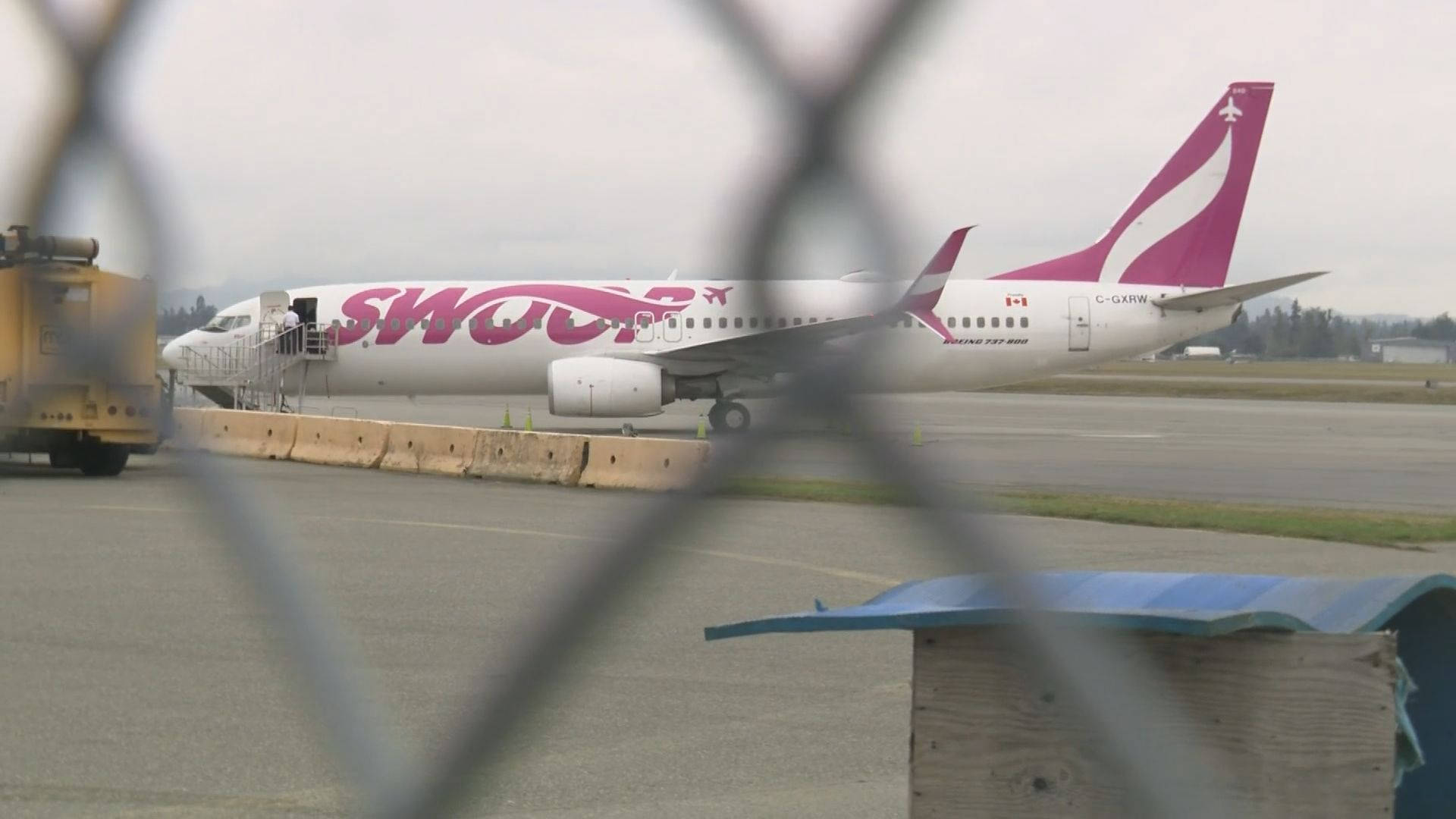 Airport 桌布 壁紙 — 一架Swoop飛機停在機場停機坪上，透過鐵絲網圍欄看到，附近有一輛黃色地勤車輛。