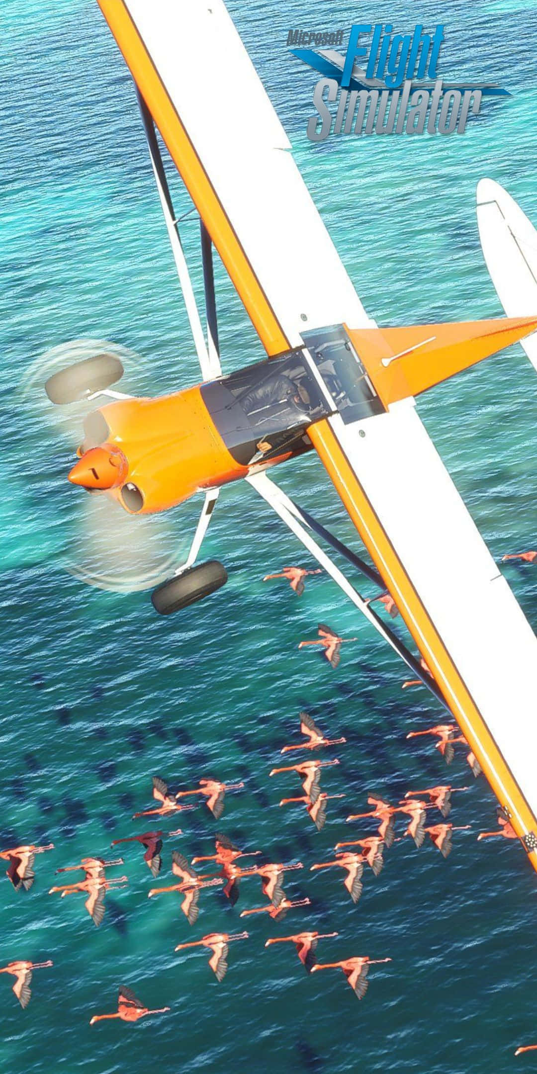 Pixel 3 Microsoft Flight Simulator 桌布 壁紙 — 一架亮橙色水上飛機低飛過碧綠海水，拖著一群粉紅火烈鳥編隊飛行。