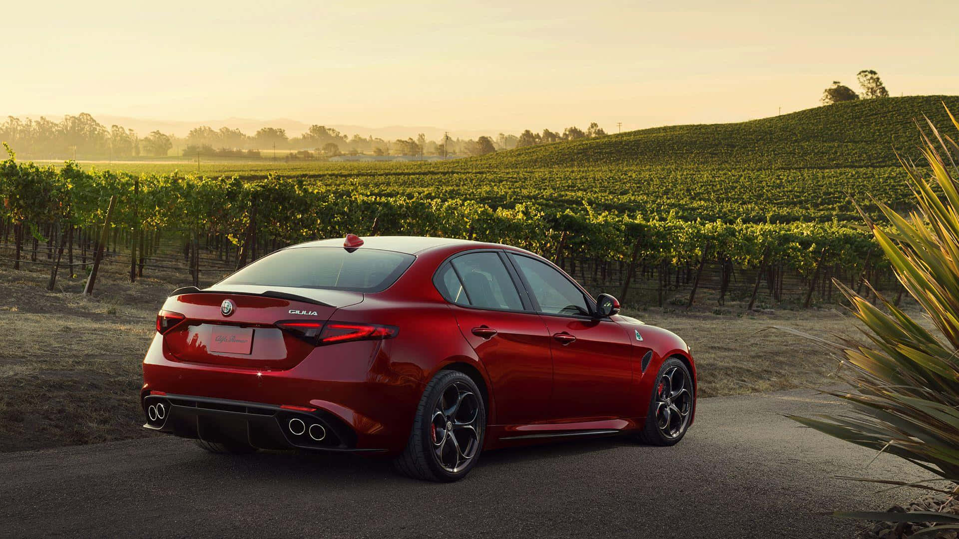 Alfa Romeo Giulia 桌布 壁紙 — 一架亮面紅色Alfa Romeo Giulia運動型轎車停放在日落時分陽光普照的葡萄園蜿蜒道路上。