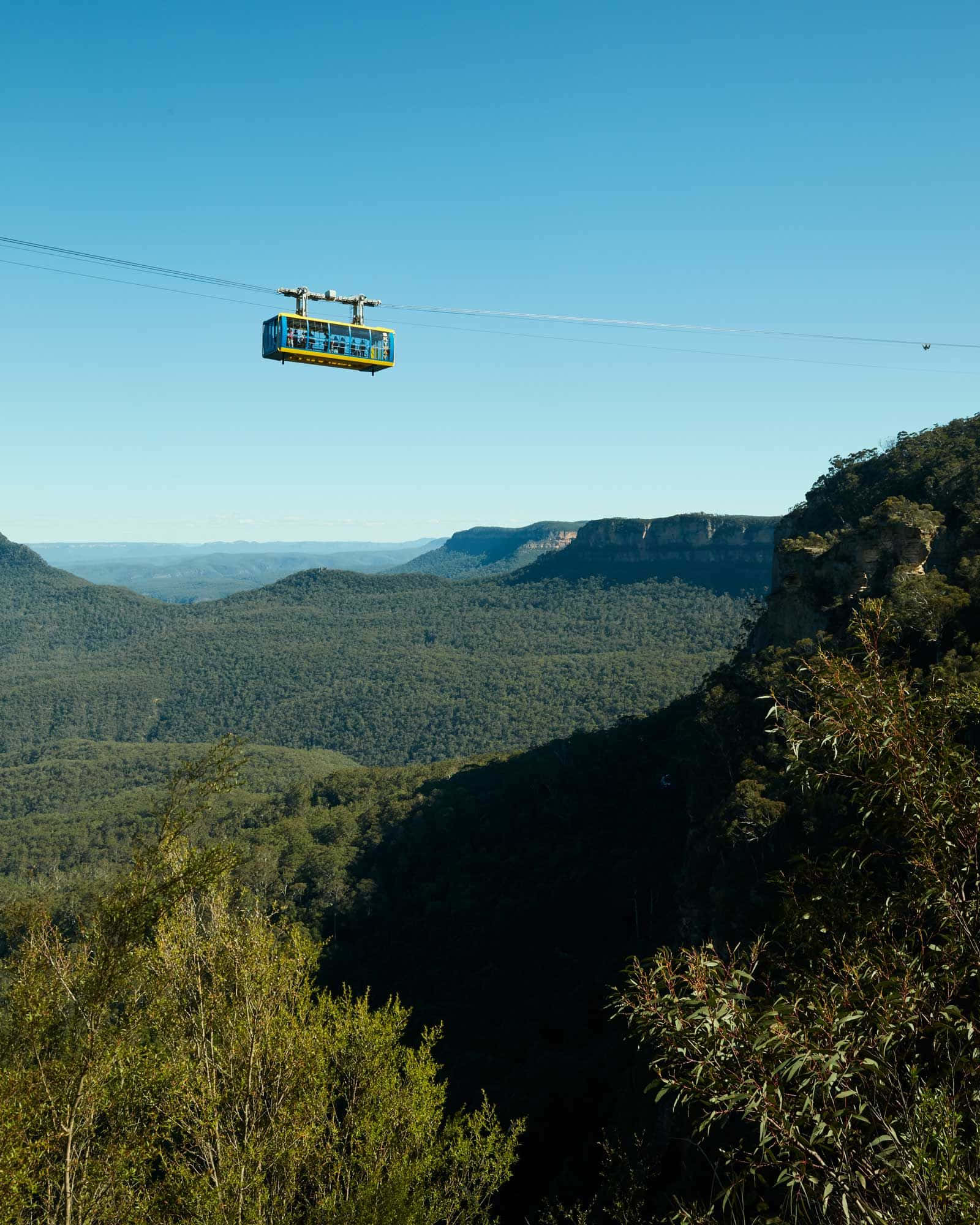 Blue Mountains National Park 桌布 壁紙 — 一架亮黃色的纜車在晴朗的藍天下，滑過鬱鬱蔥蔥的綠色山谷。