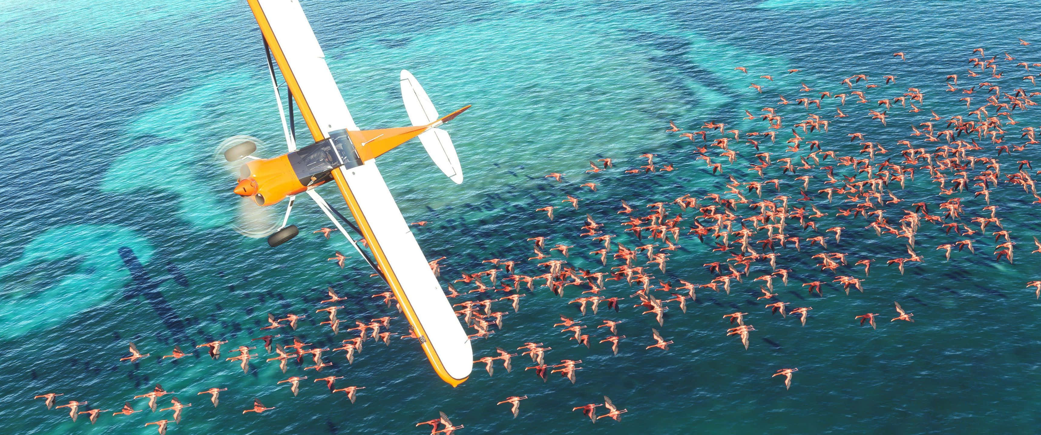 3440x1440p Microsoft Flight Simulator 桌布 壁紙 — 一架亮黃色雙翼機低飛過藍綠色水面，數百隻粉紅色紅鶴在涉水和游泳。