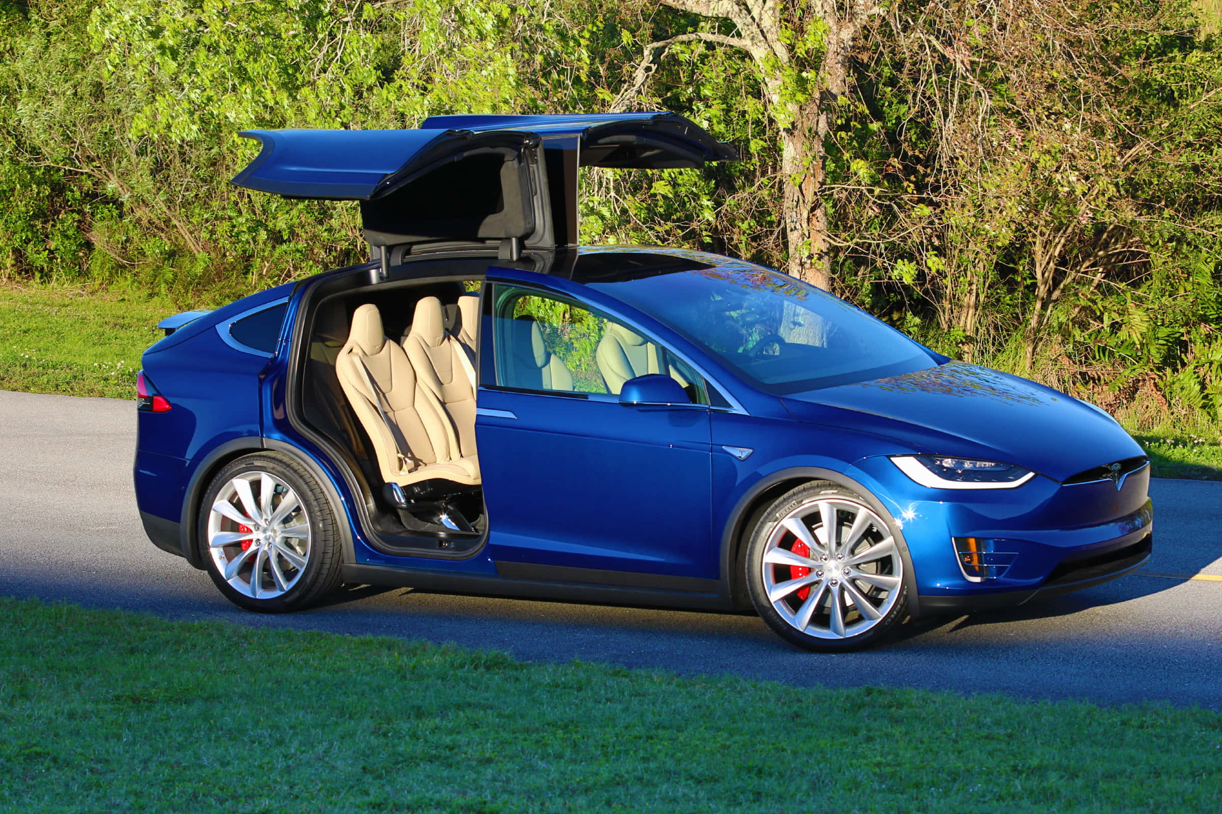 特斯拉 桌布 壁紙 — 一架充滿活力的藍色Tesla Model X，鷹翼門打開，停在鋪砌的道路上，周圍是茂密的綠樹和草地。