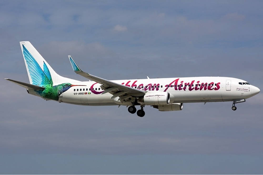 飛機 桌布 壁紙 — 一架加勒比航空的波音737，帶有鮮豔的蜂鳥塗裝，在柔和藍天和散雲中翱翔。