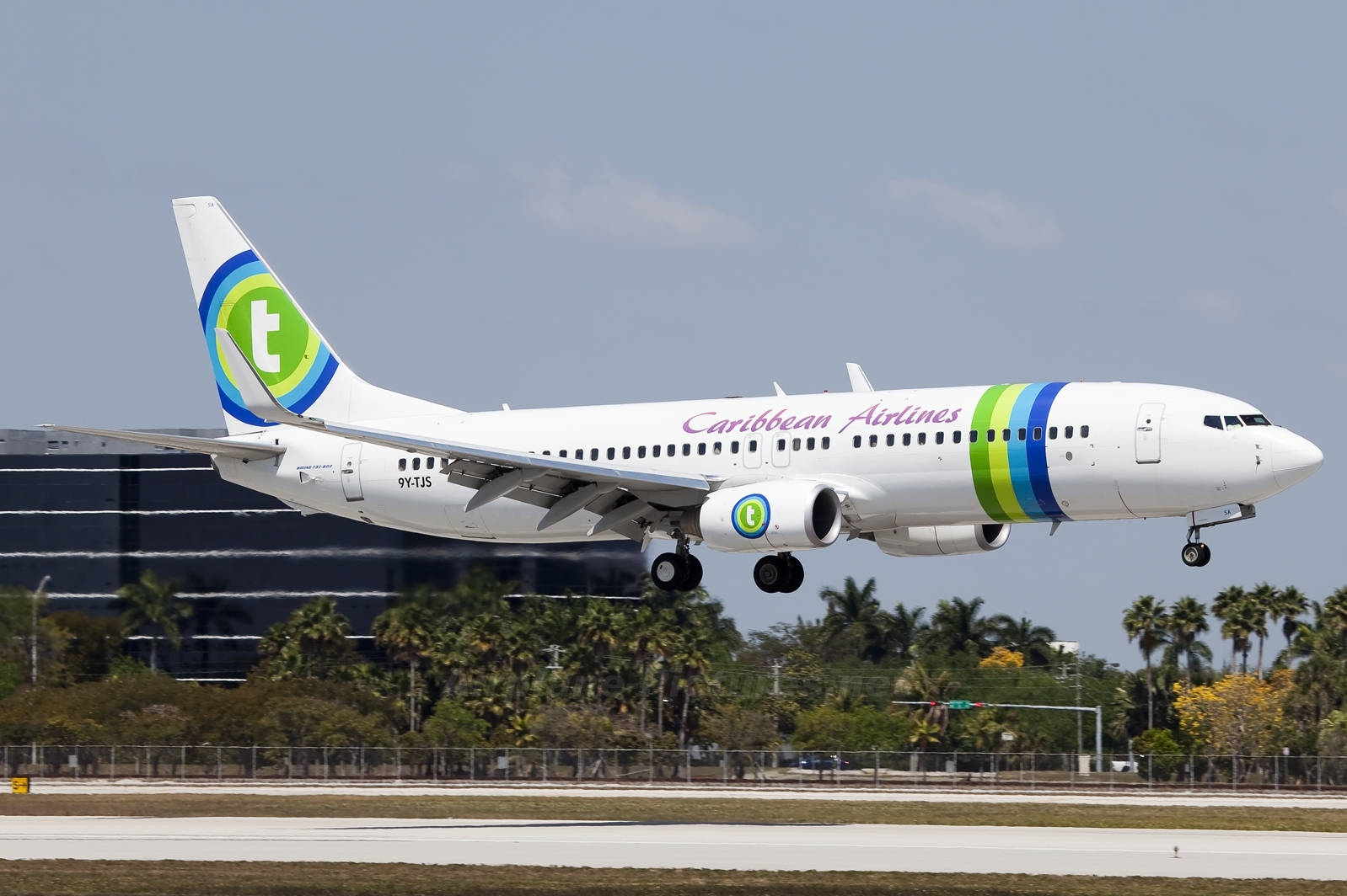 飛機 桌布 壁紙 — 一架加勒比航空的波音737正在起飛，起落架放下，背景是晴朗的藍天和棕櫚樹成行的跑道。
