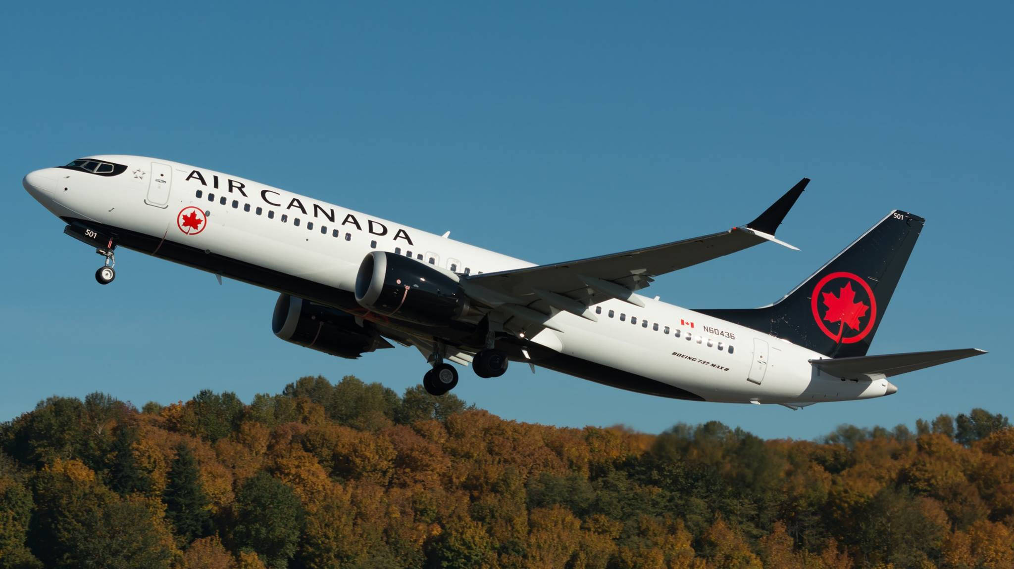 Plane 桌布 壁紙 — 一架加拿大航空波音737在秋色森林上空，對著清澈藍天攀升。