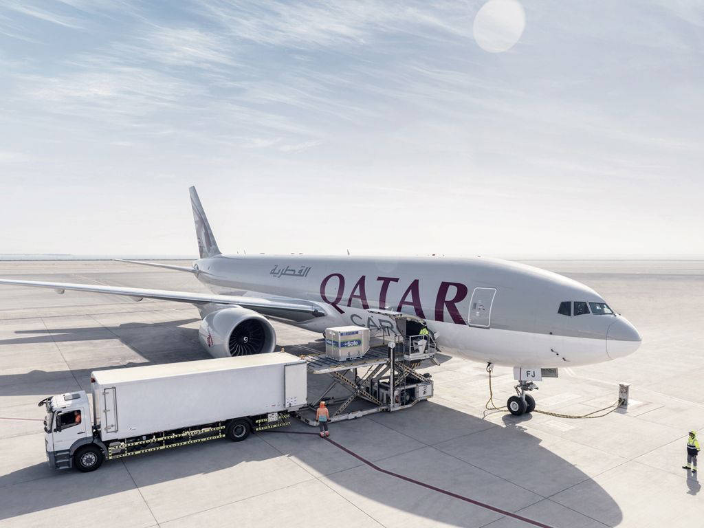 Qatar 桌布 壁紙 — 一架卡達航空的飛機正在陽光普照的停機坪上接受服務，附近有地勤人員和貨車。