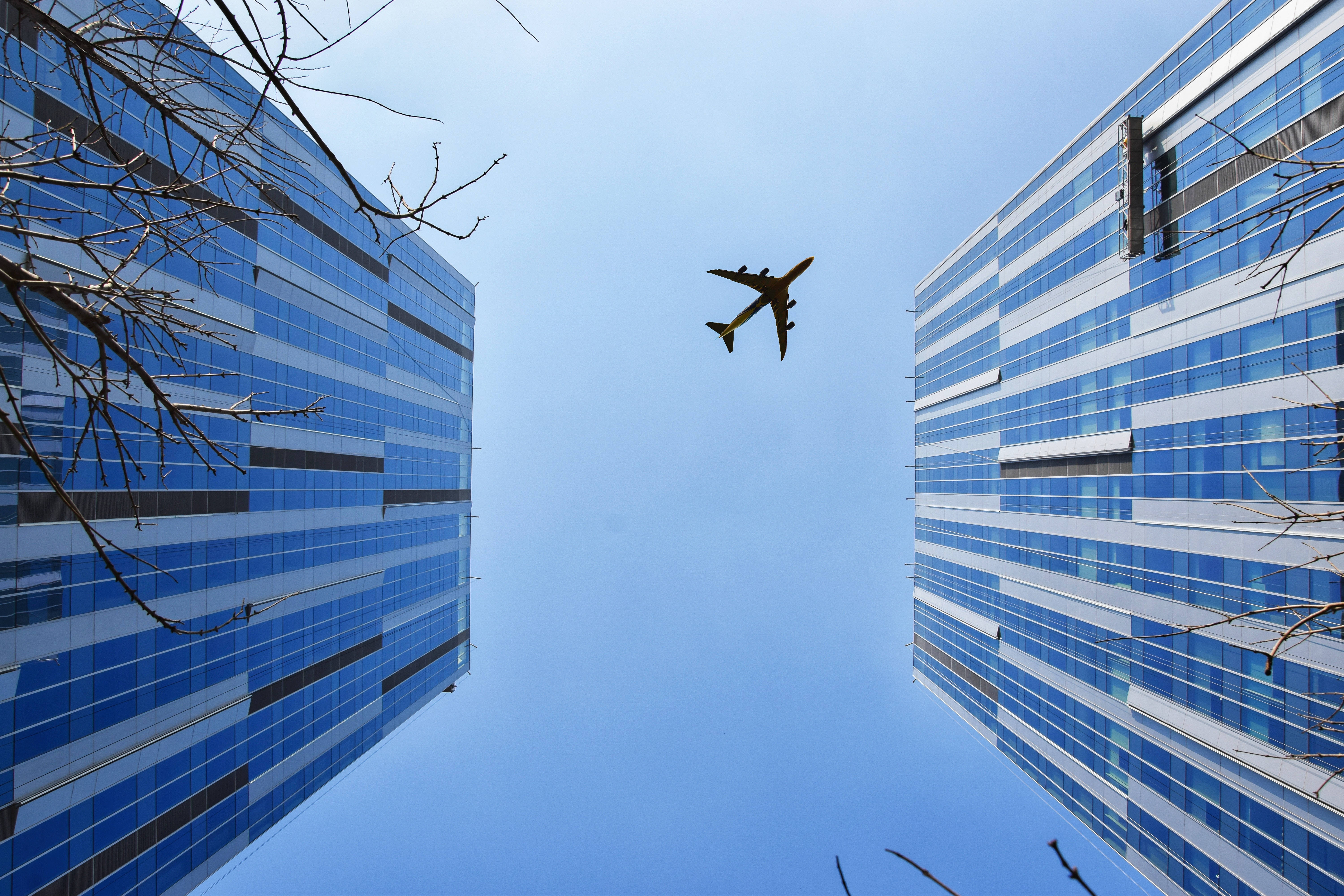 Plane 桌布 壁紙 — 一架商用客機在光禿禿的樹枝框住的清澈藍天下，翱翔於高聳的玻璃摩天大樓之間。