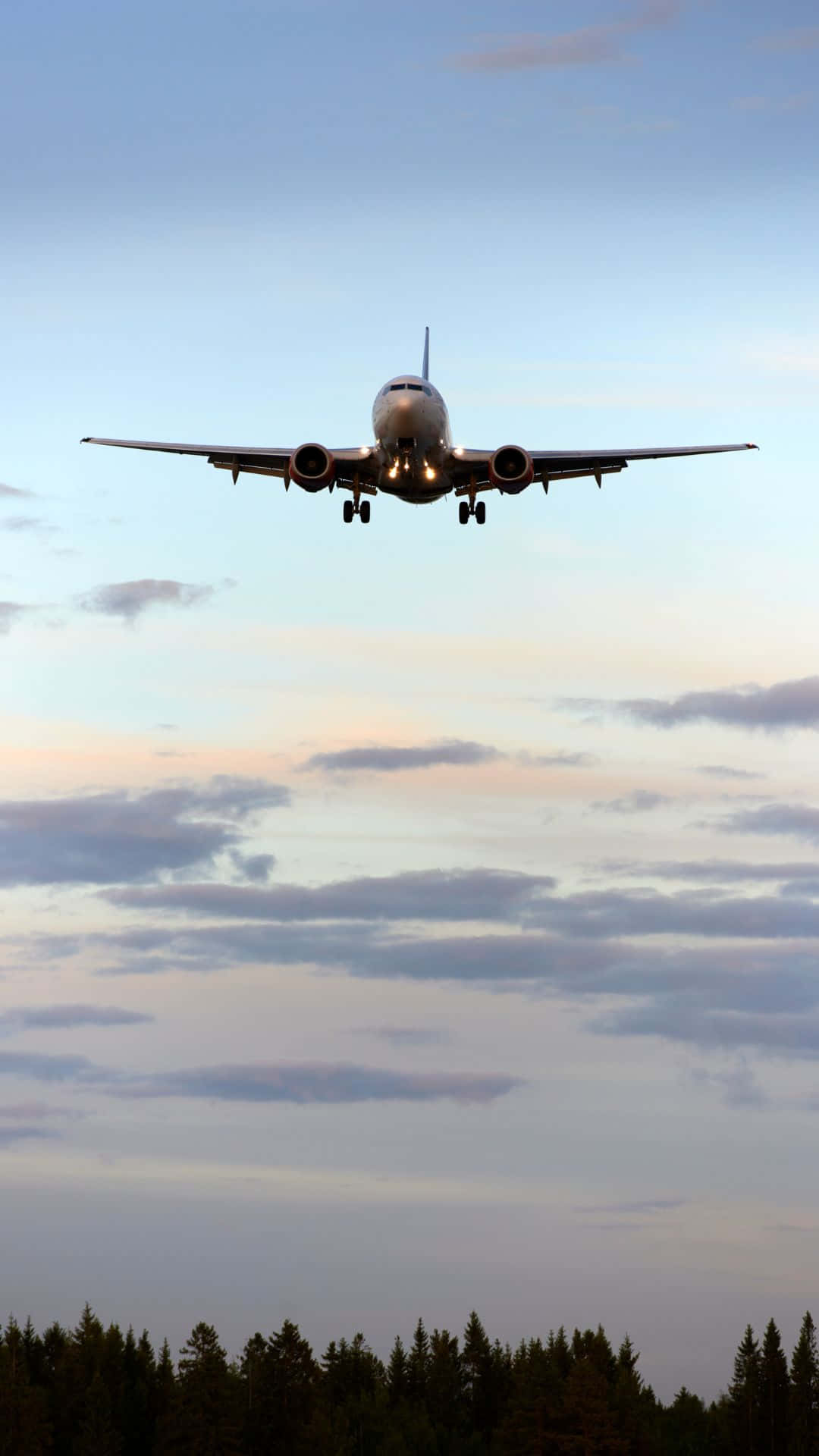 黃昏時分，一架飛機接近降落於松樹林上空。 — 飛機 壁紙