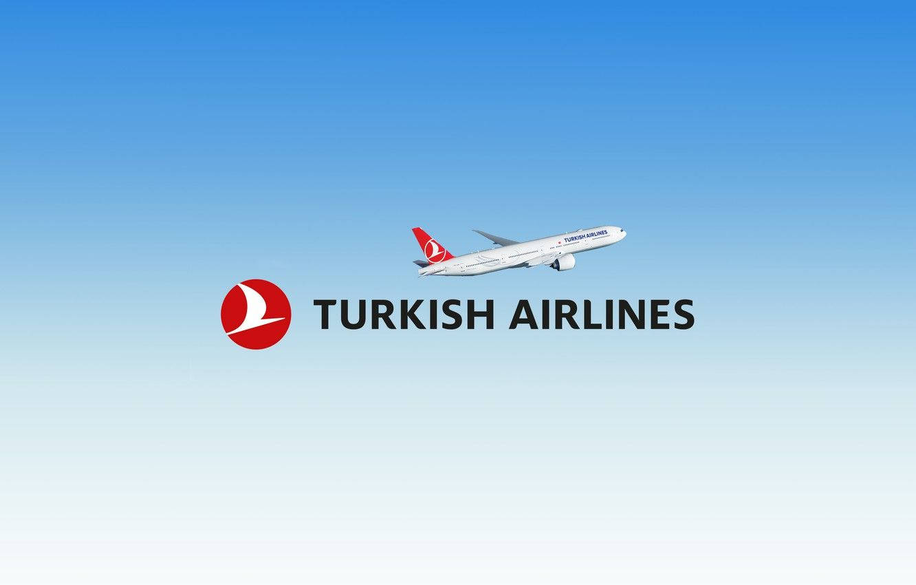 標誌 桌布 壁紙 — 一架土耳其航空飛機在航空公司標誌和名稱上方，於清澈的藍天中翱翔。