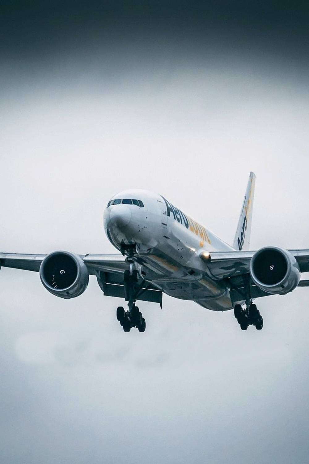 Plane 桌布 壁紙 — 一架大型商用飛機穿過多雲的灰色天空下降，起落架已放下。