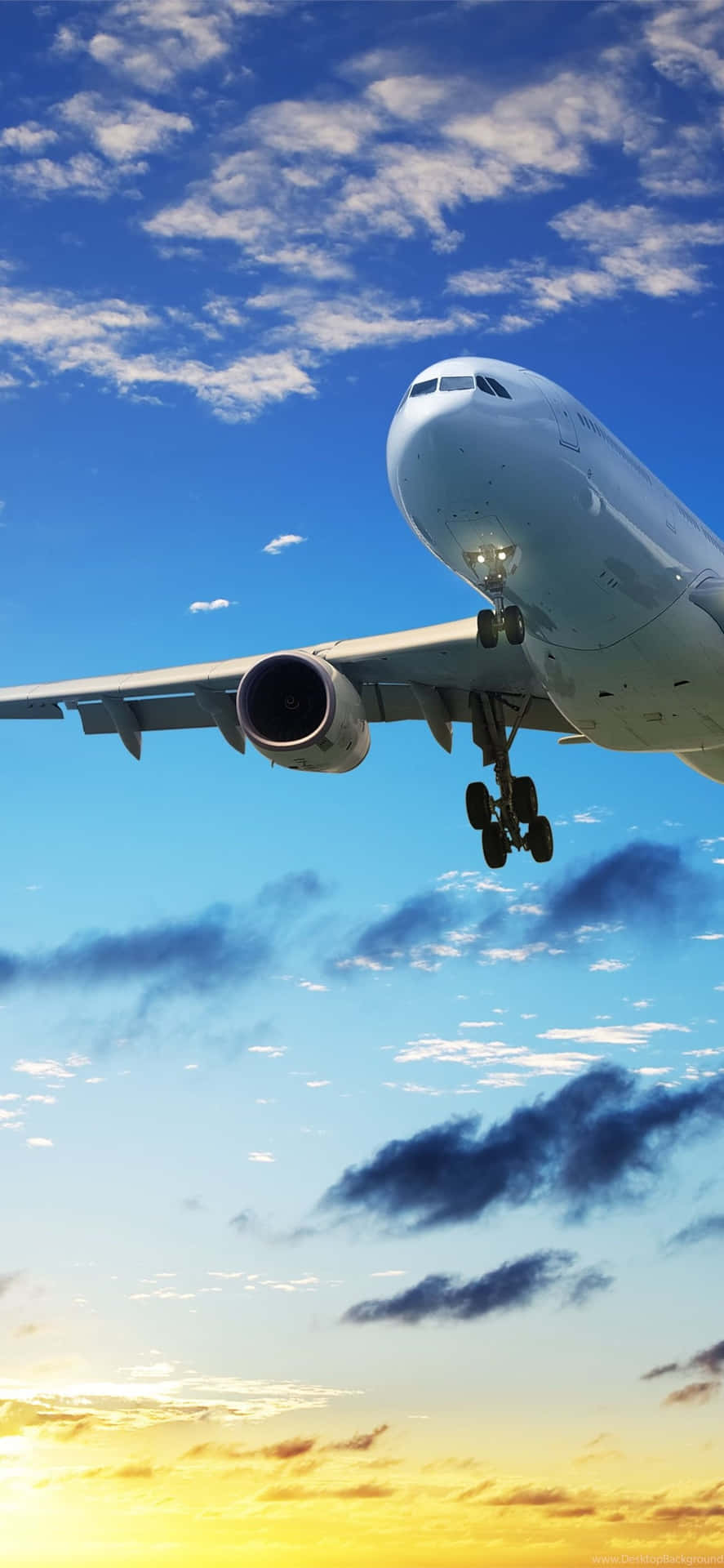 飛機 桌布 壁紙 — 一架大型白色客機在佈滿金色日落雲彩的鮮豔藍天下下降。