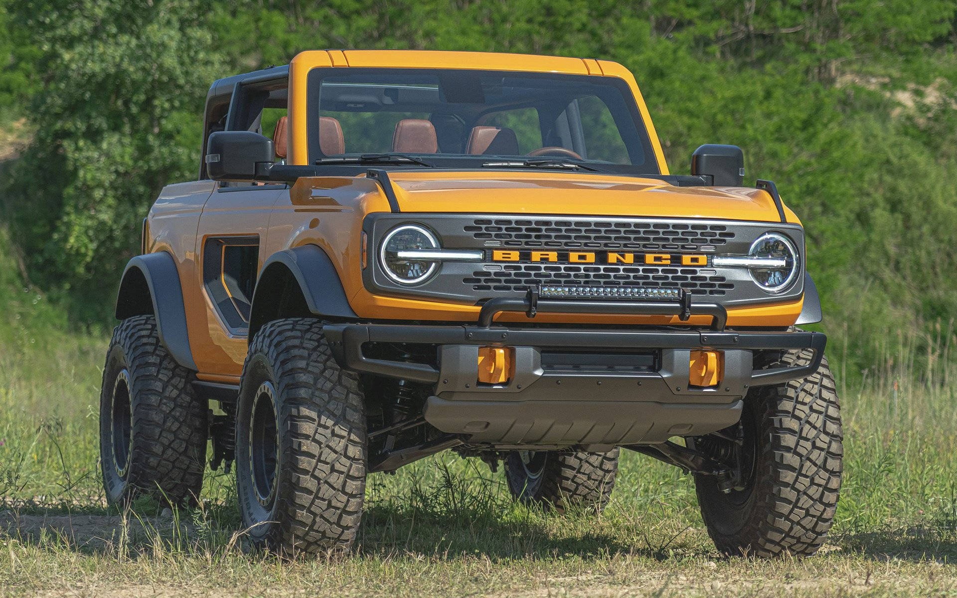 Ford Bronco 桌布 壁紙 — 一架大膽的橙色福特Bronco在陽光明媚的草地上準備好越野探險。