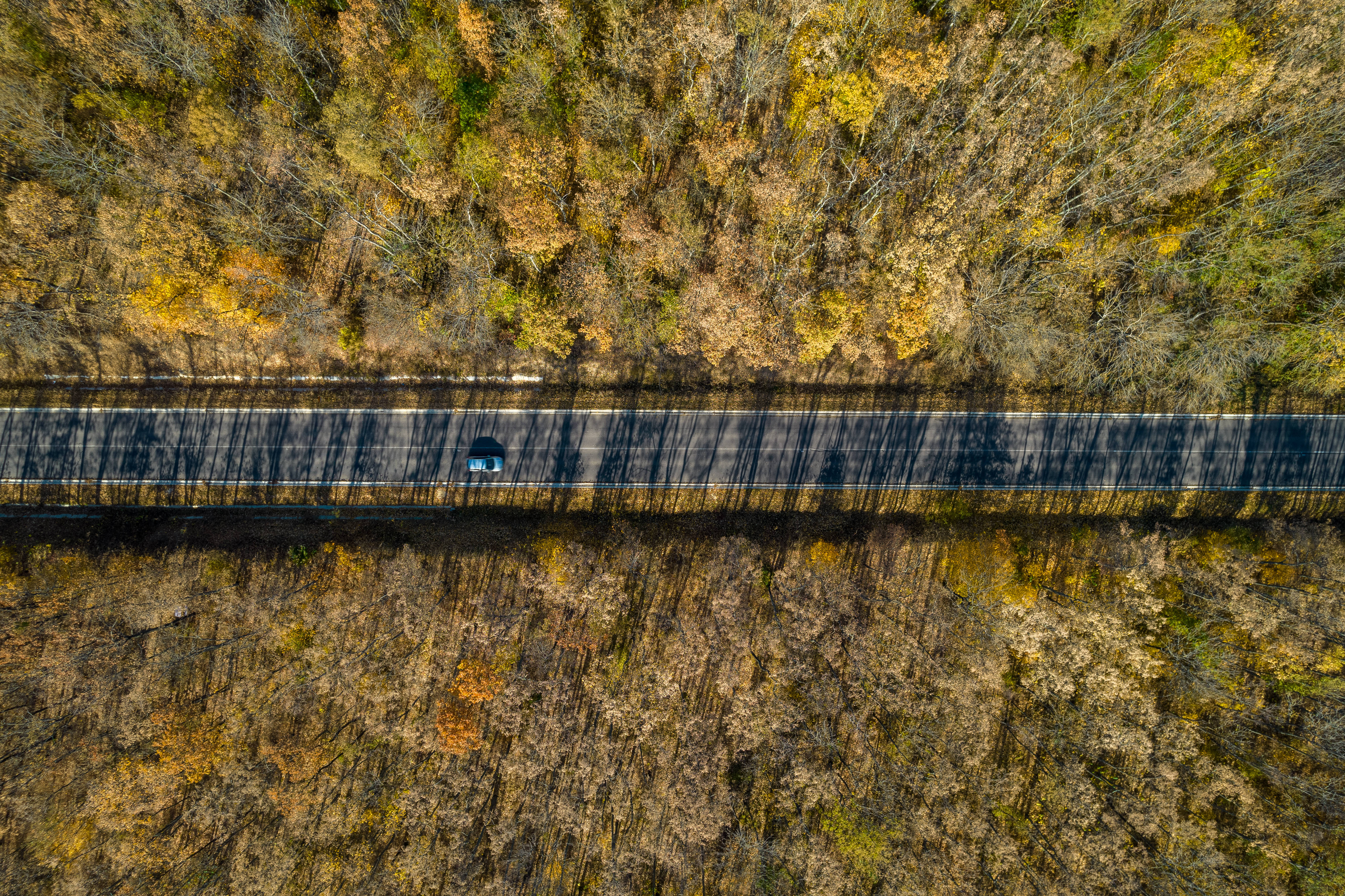Moldova 桌布 壁紙 — 一架孤獨的藍色汽車在蜿蜒的道路上行駛，穿過茂密的秋日森林，金黃色和棕色的樹葉的鳥瞰圖。
