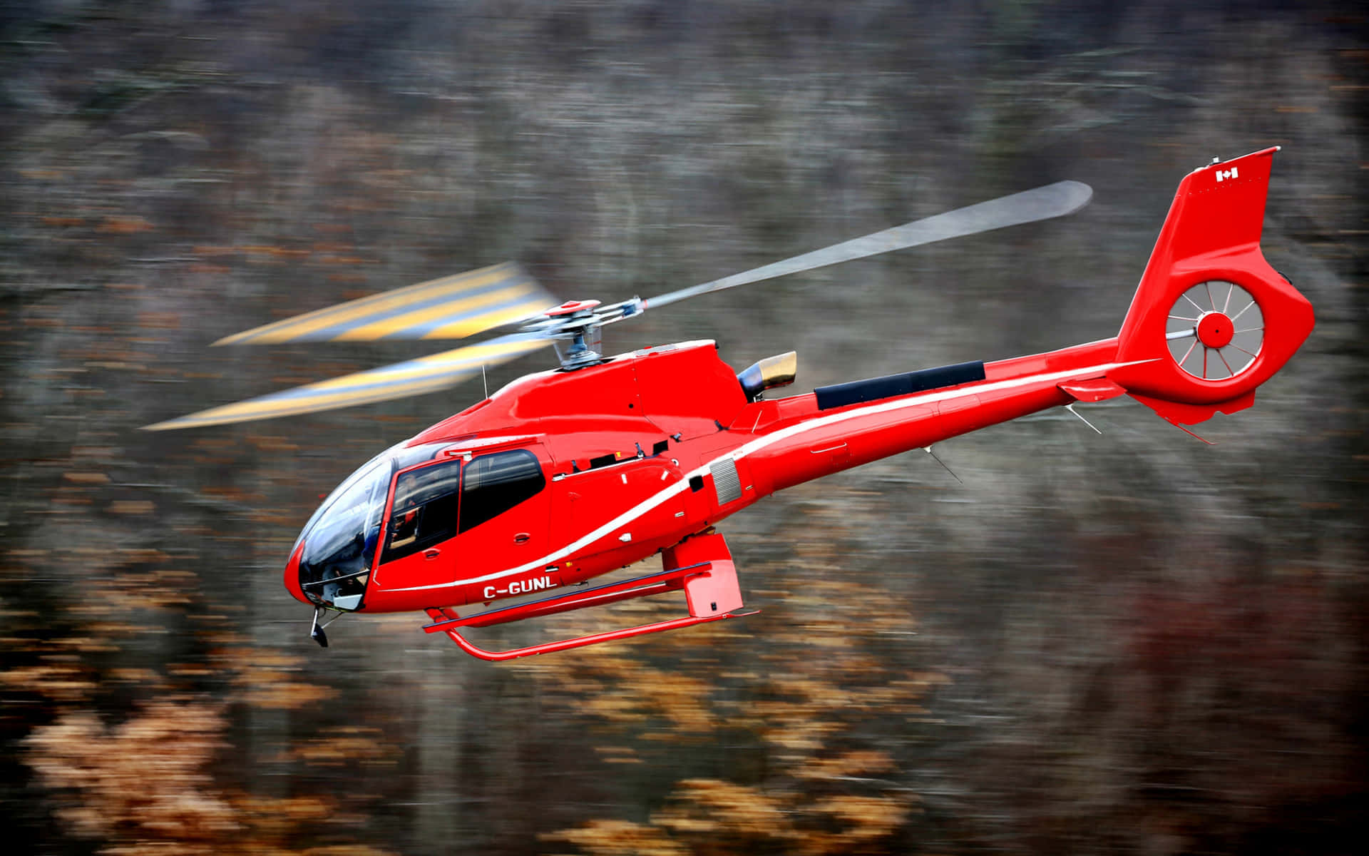 Helicopters 桌布 壁紙 — 一架帶有加拿大國旗標誌的鮮紅色直升機，在模糊的秋日森林上空動態翱翔。