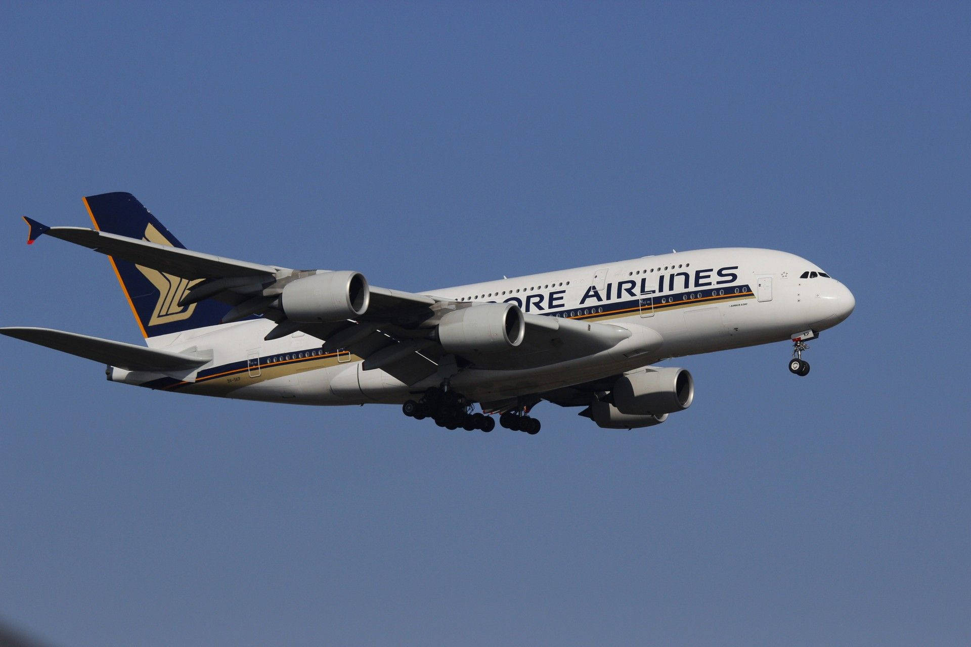 飛機 桌布 壁紙 — 一架新加坡航空的空中巴士A380在晴朗的藍天下下降，起落架已放下。