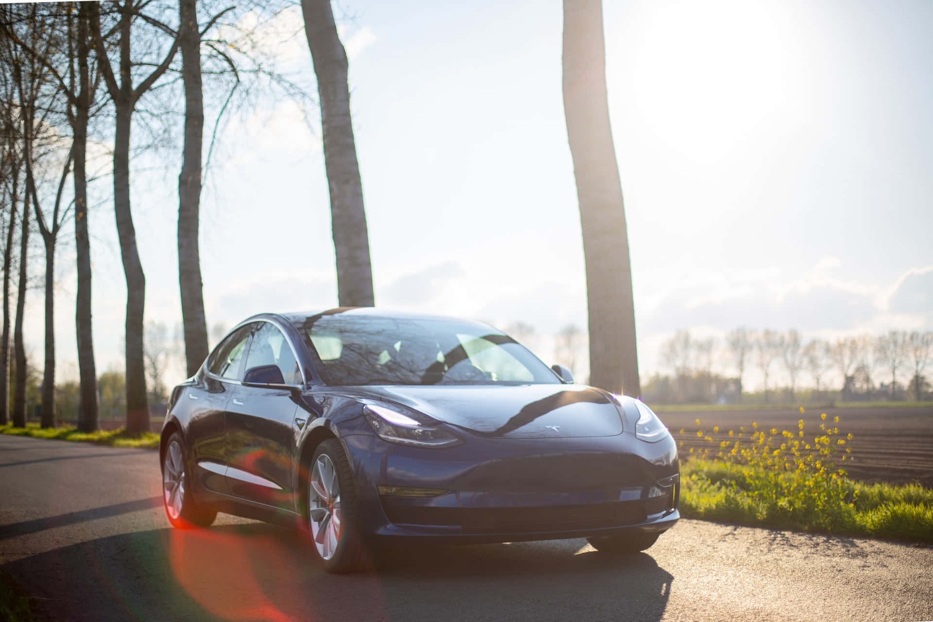 特斯拉 桌布 壁紙 — 一架時尚深藍色Tesla Model 3停泊在林蔭大道上，金色陽光形成鏡頭光暈和長長的影子。