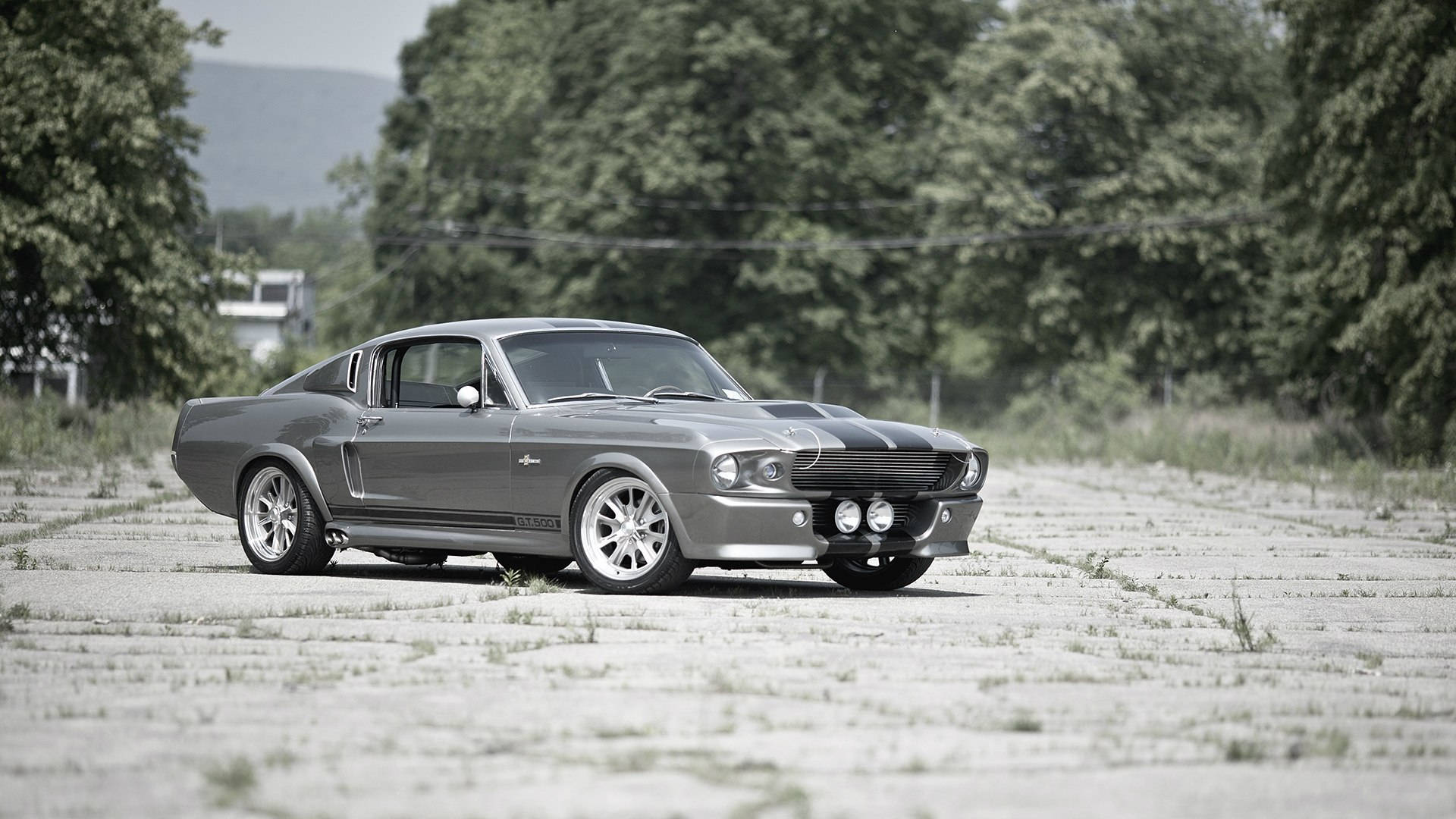 shelby iPhone 桌布 壁紙 — 一架時尚灰色經典肌肉車帶有賽車條紋，停放在裂開的柏油路上，周圍環繞著茂密的綠樹。