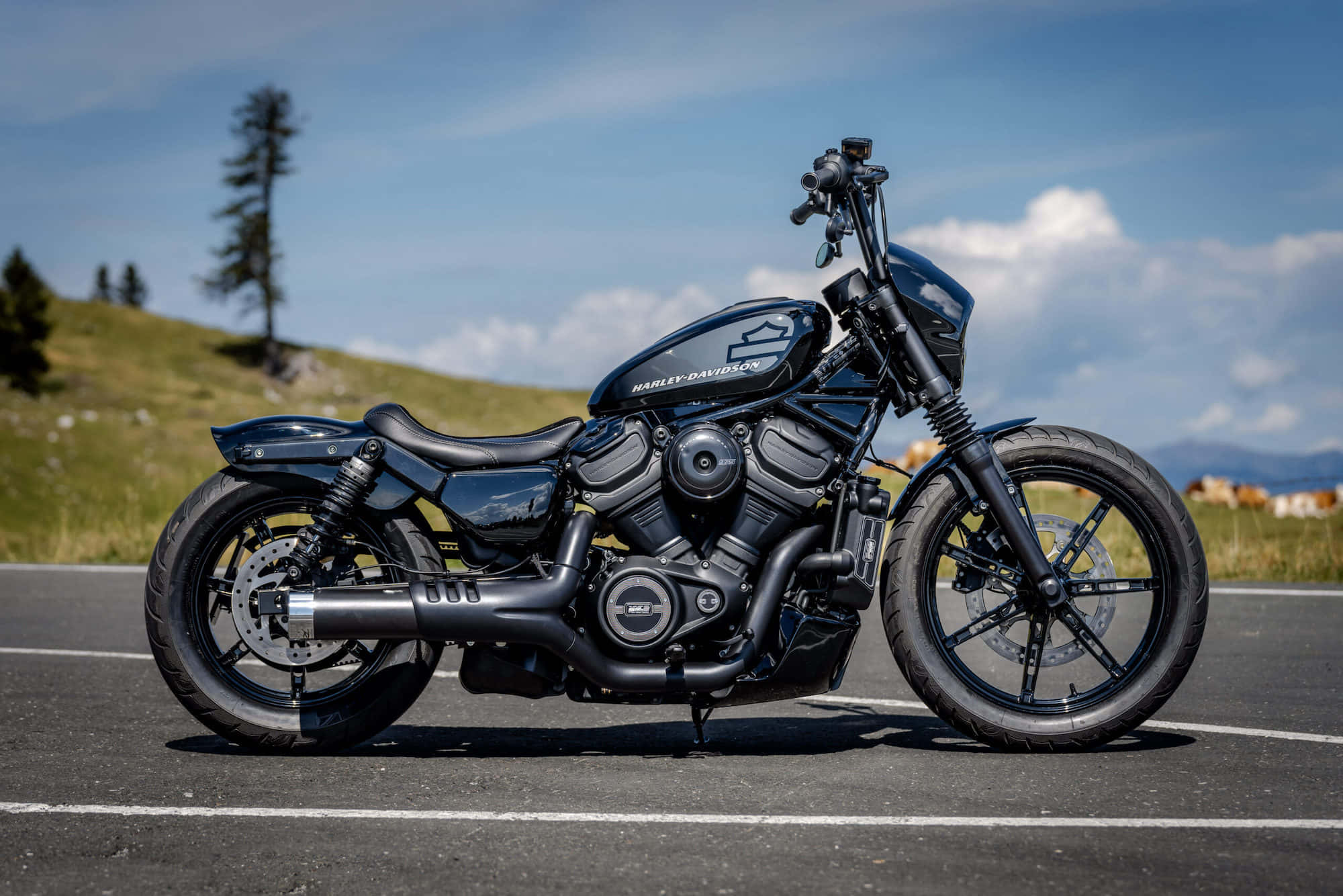 哈雷戴維森 桌布 壁紙 — 一架時尚的啞光黑色Harley-Davidson機車停在瀝青路上，背景是起伏的綠色山丘和一棵孤樹，天空湛藍。