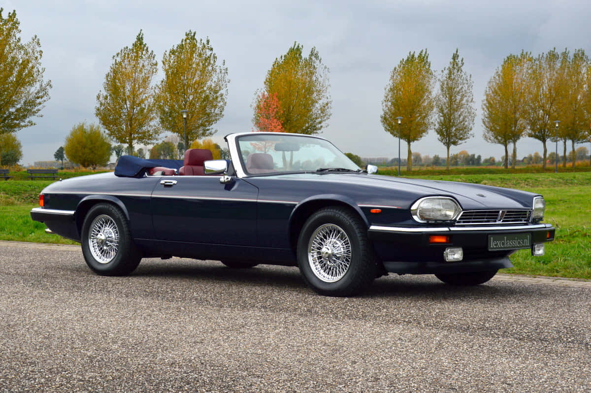 Jaguar Xjs 桌布 壁紙 — 一架時尚的海軍藍經典敞篷跑車停泊在碎石路上，旁邊是秋天的樹木，天空多雲。