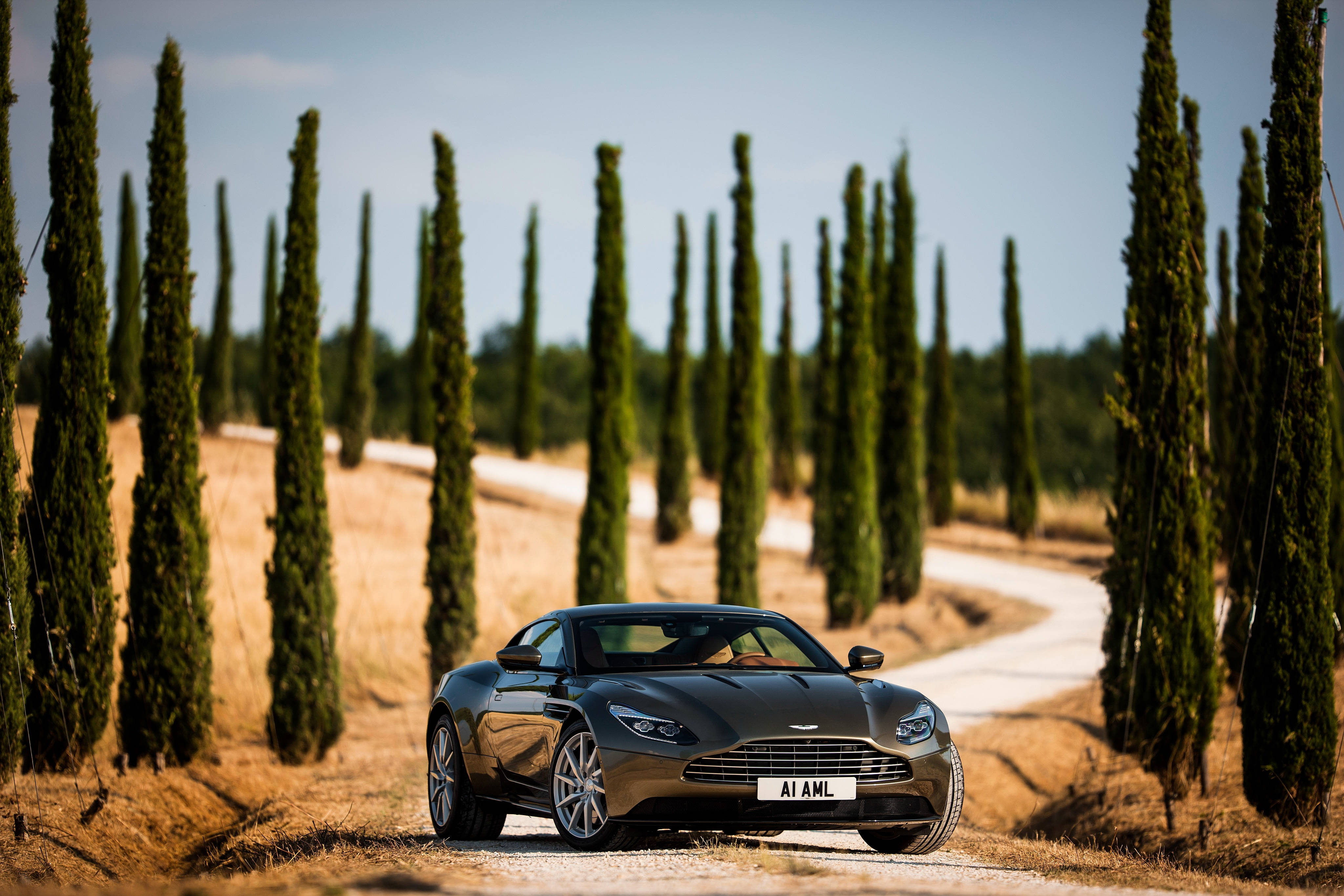 奧斯頓馬丁 桌布 壁紙 — 一架時尚的深灰色 Aston Martin 跑車停泊在陽光普照的碎石路上，兩旁種滿高大的柏樹。