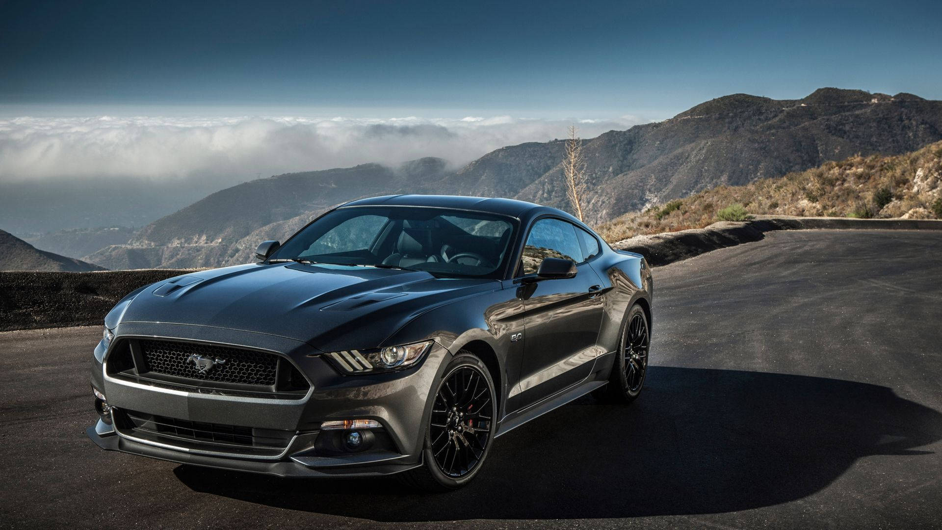 福特 桌布 壁紙 — 一架時尚的深灰色福特 Mustang GT 停泊在蜿蜒的山路上，下方是雲海，上方是清澈的藍天。