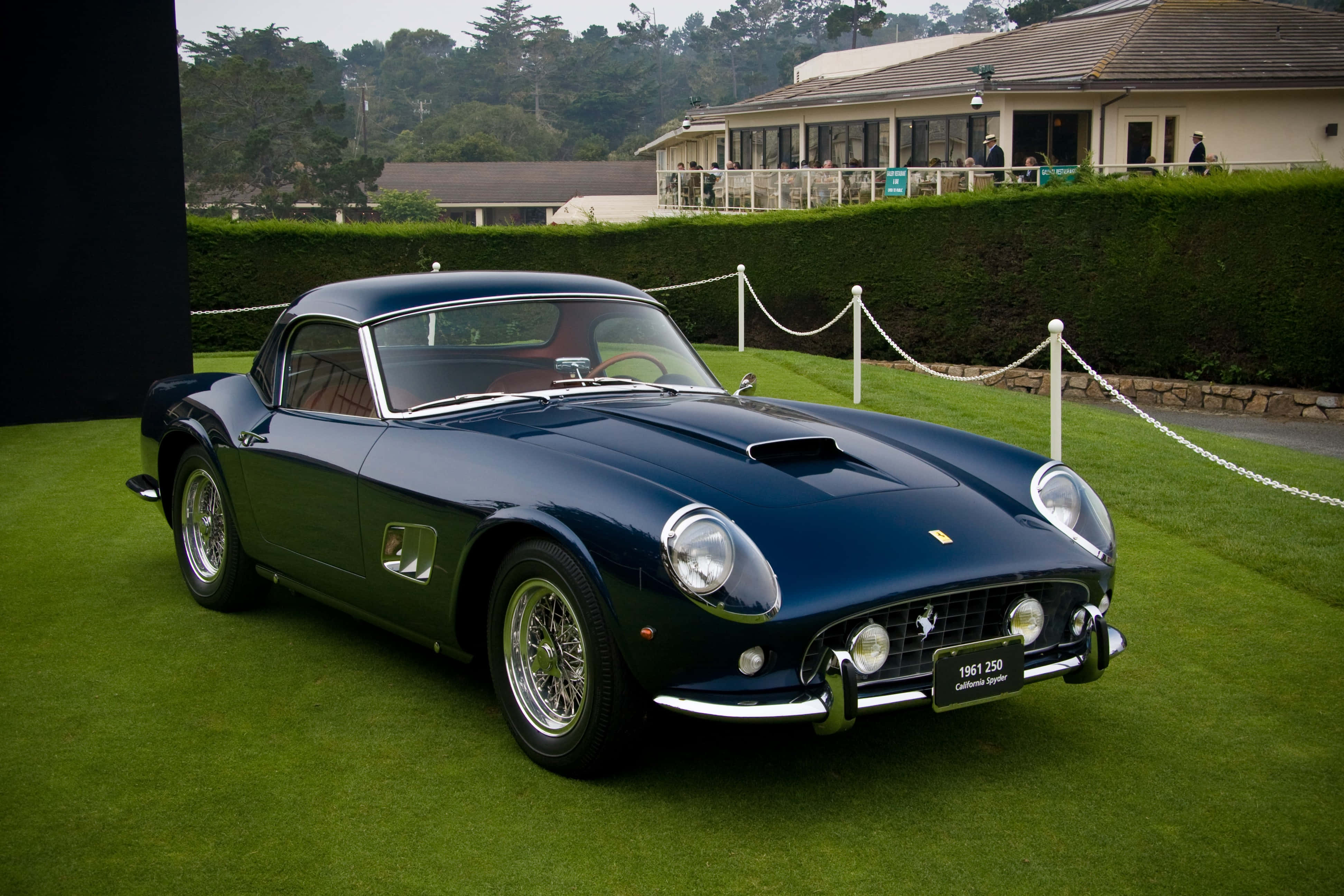 Vintage Car 桌布 壁紙 — 一架時尚的深藍色1961年法拉利250停泊在充滿活力的綠色草地上，背景有修剪整齊的樹籬和建築物。