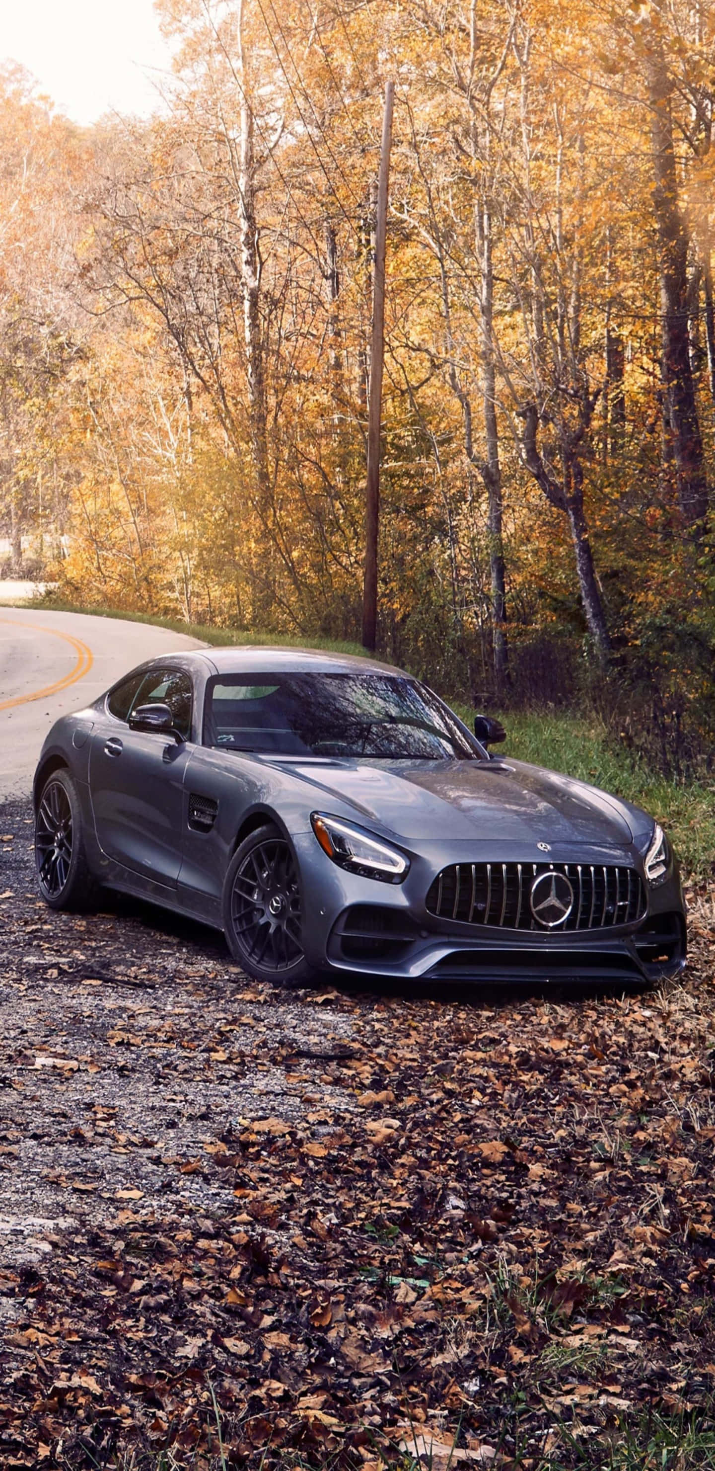 Pixel 3xl Amg Gt-r 桌布 壁紙 — 一架時尚的灰色 Mercedes-AMG GT 停泊在鋪滿落葉的森林道路上，周圍是金黃色的秋樹。