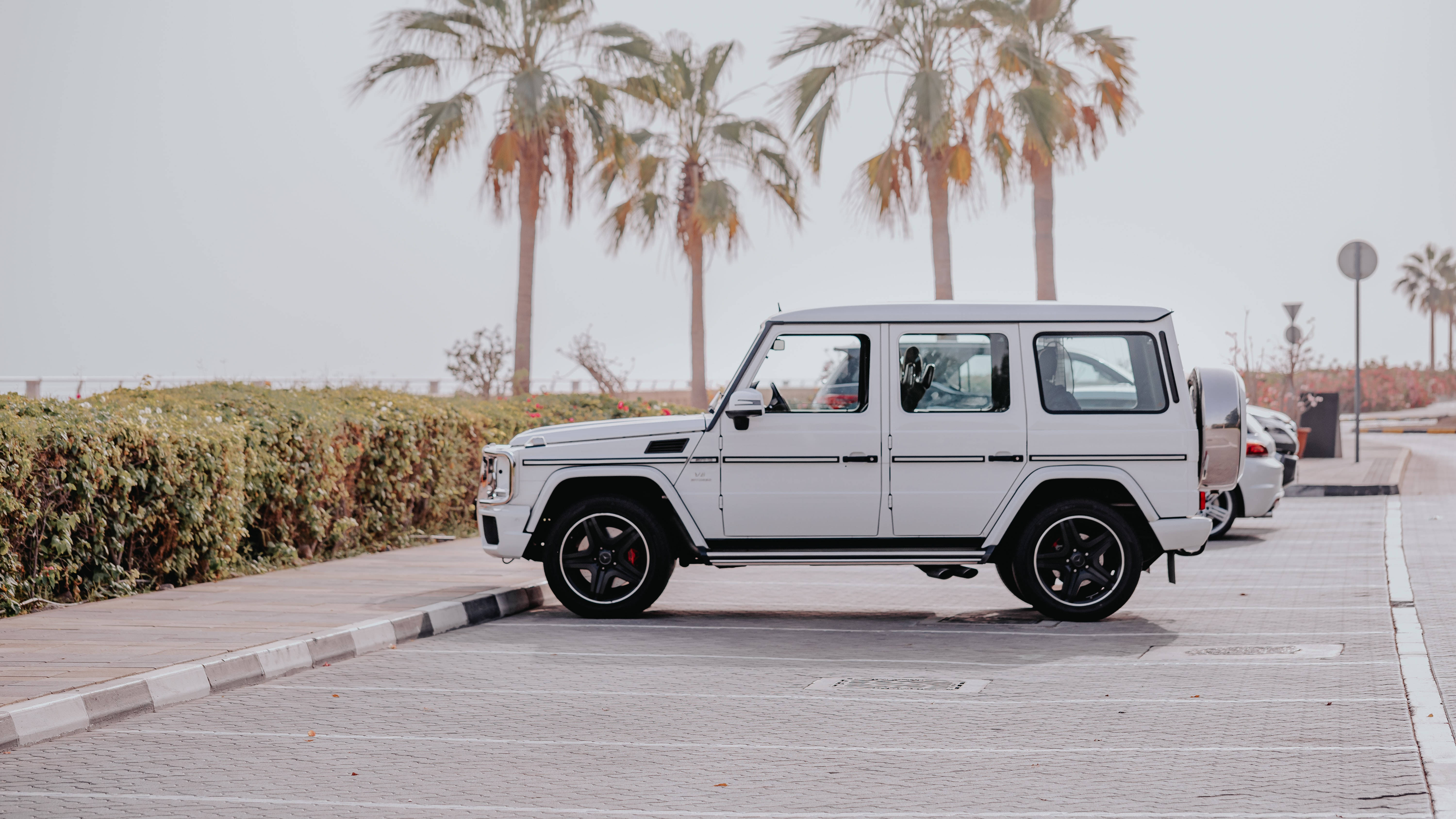 汽車 桌布 壁紙 — 一架時尚的白色 Mercedes G-Wagen 停泊在鋪砌的道路上，背景有棕櫚樹和樹籬，天空多雲。