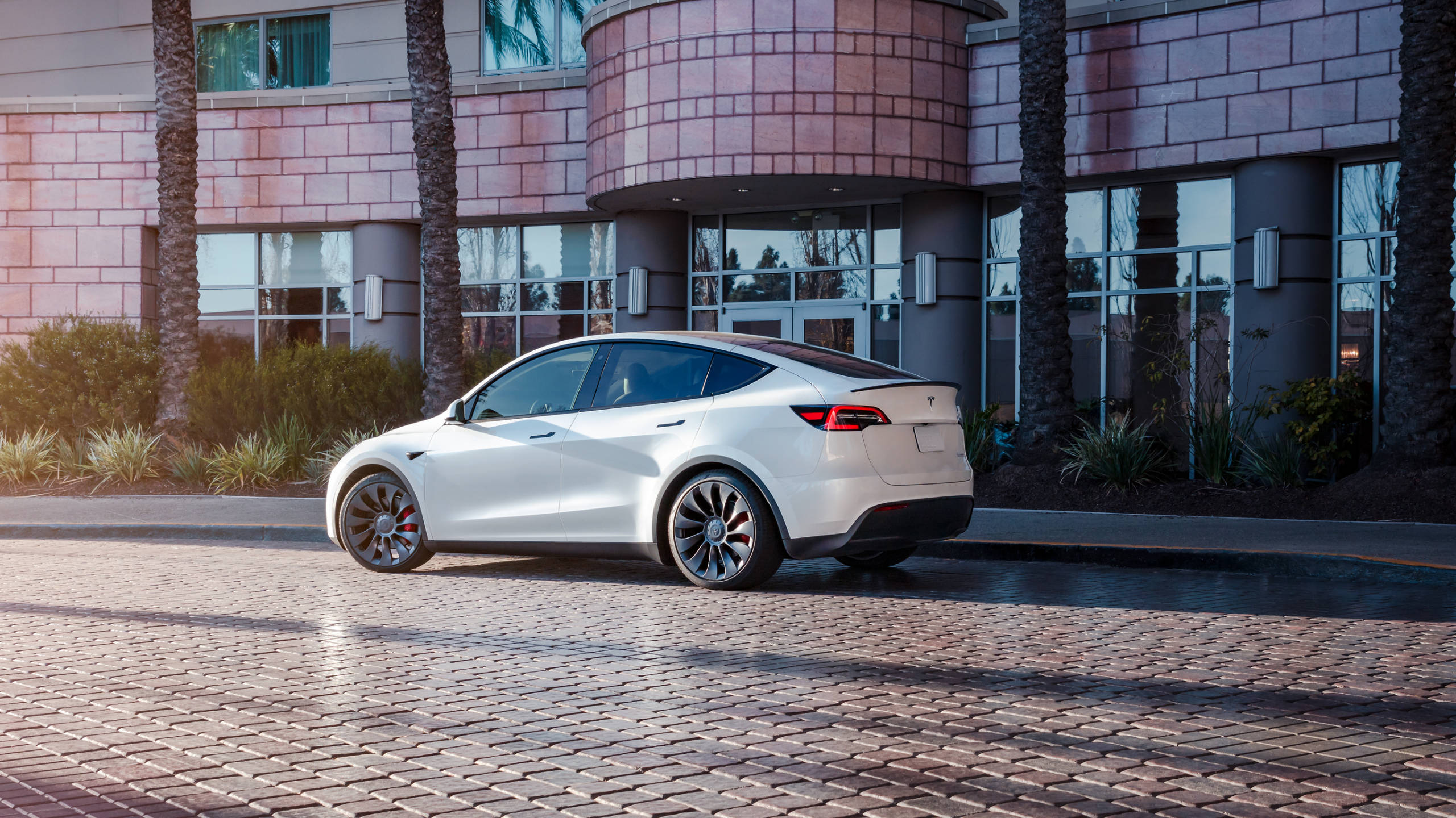 特斯拉 桌布 壁紙 — 一架時尚的白色 Tesla Model 3 停泊在陽光普照的鵝卵石車道上，前面是現代建築，種有棕櫚樹。