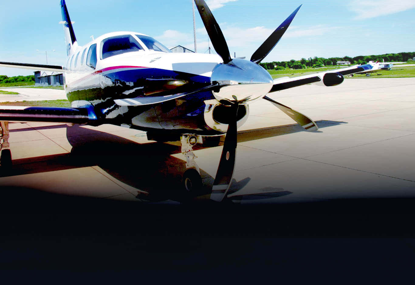 Aviation 桌布 壁紙 — 一架時尚的白色和藍色螺旋槳飛機停在停機坪上，背景是明亮的藍天和遠處的綠樹。