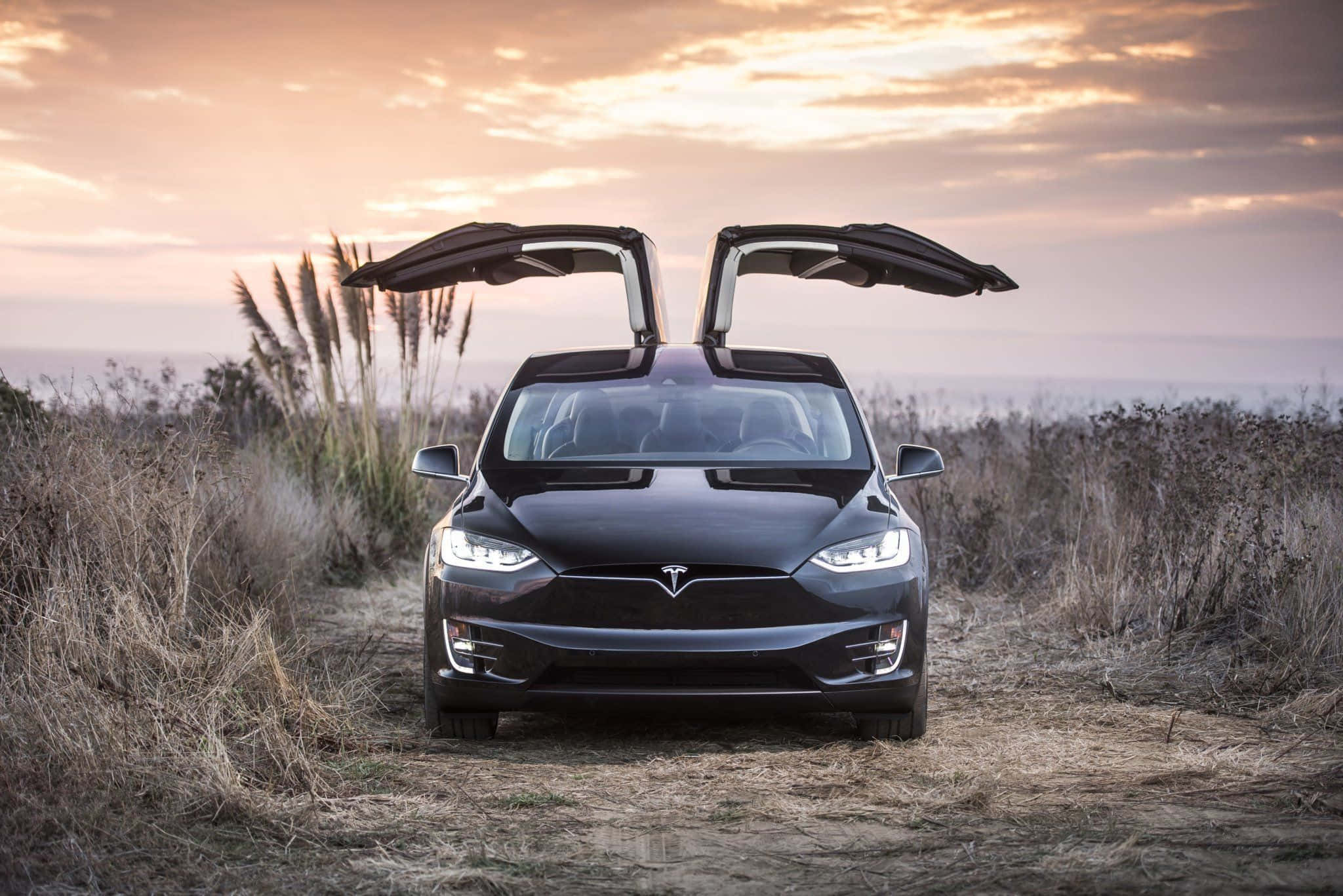 Hybrid Car 桌布 壁紙 — 一架時尚的黑色Tesla，打開鷗翼車門，停泊在日落時分靠近海洋的乾燥草地上。