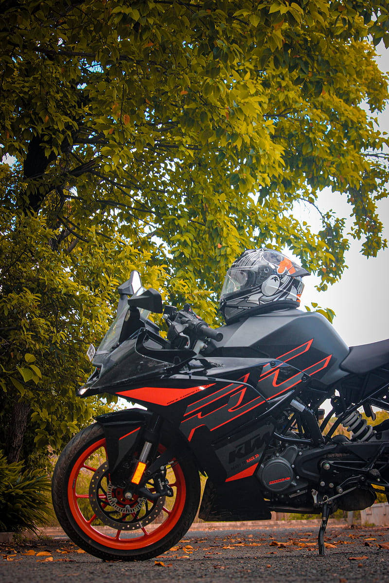 KTM RC 200 桌布 壁紙 — 一架時尚的黑色和橙色KTM機車停放在充滿活力的綠色樹冠下，安全帽放在座椅上。