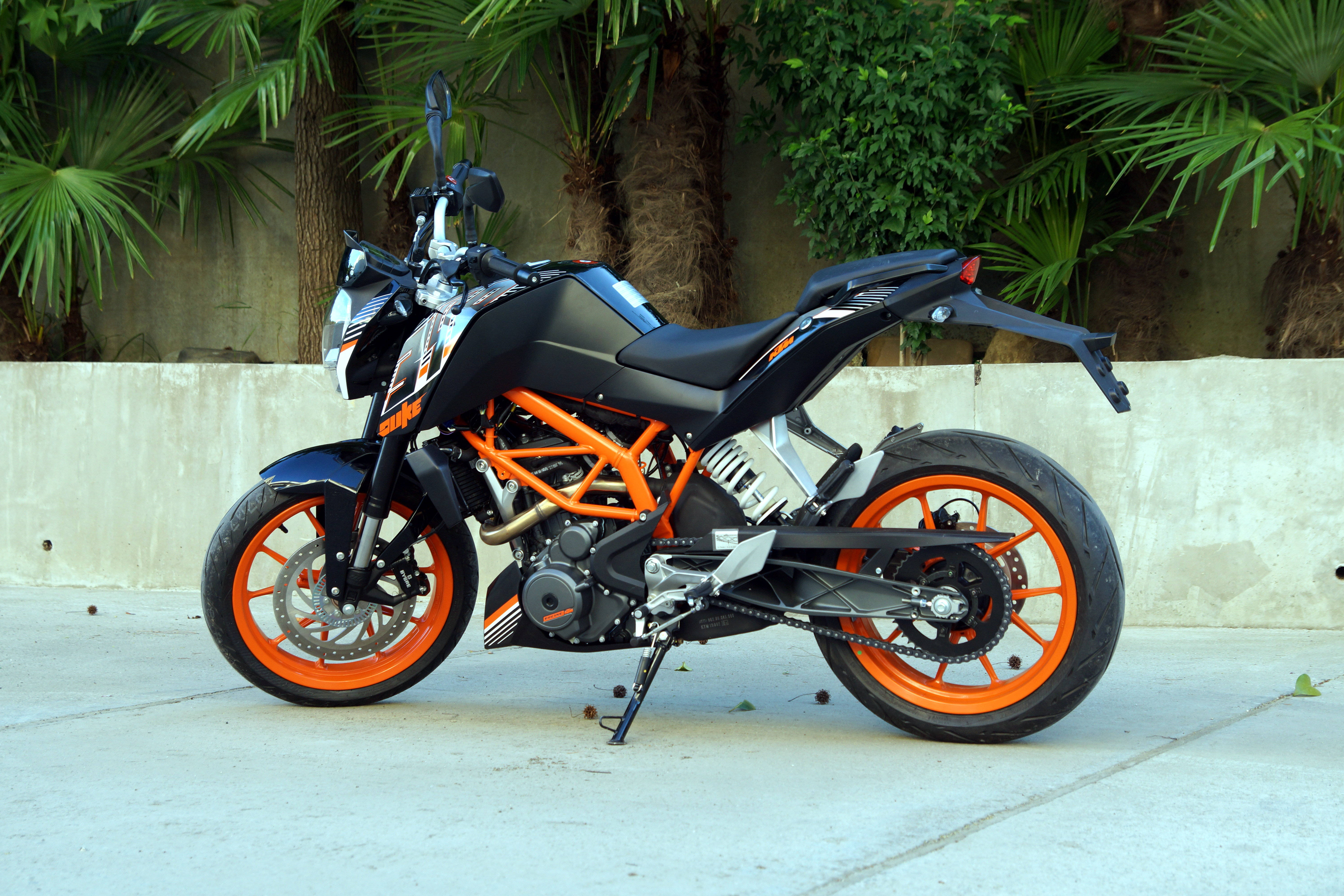 KTM 摩托車 桌布 壁紙 — 一架時尚的黑色和橙色KTM機車停在混凝土上，背後有茂密的綠色棕櫚樹。